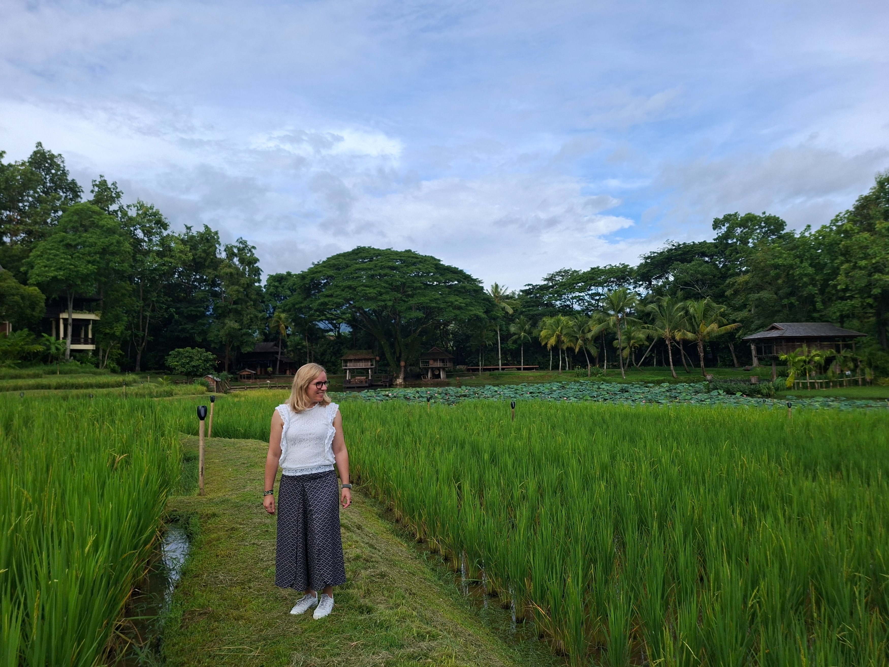 TH - fam trip - Marloes - Four Seasons rice fields.jpg
