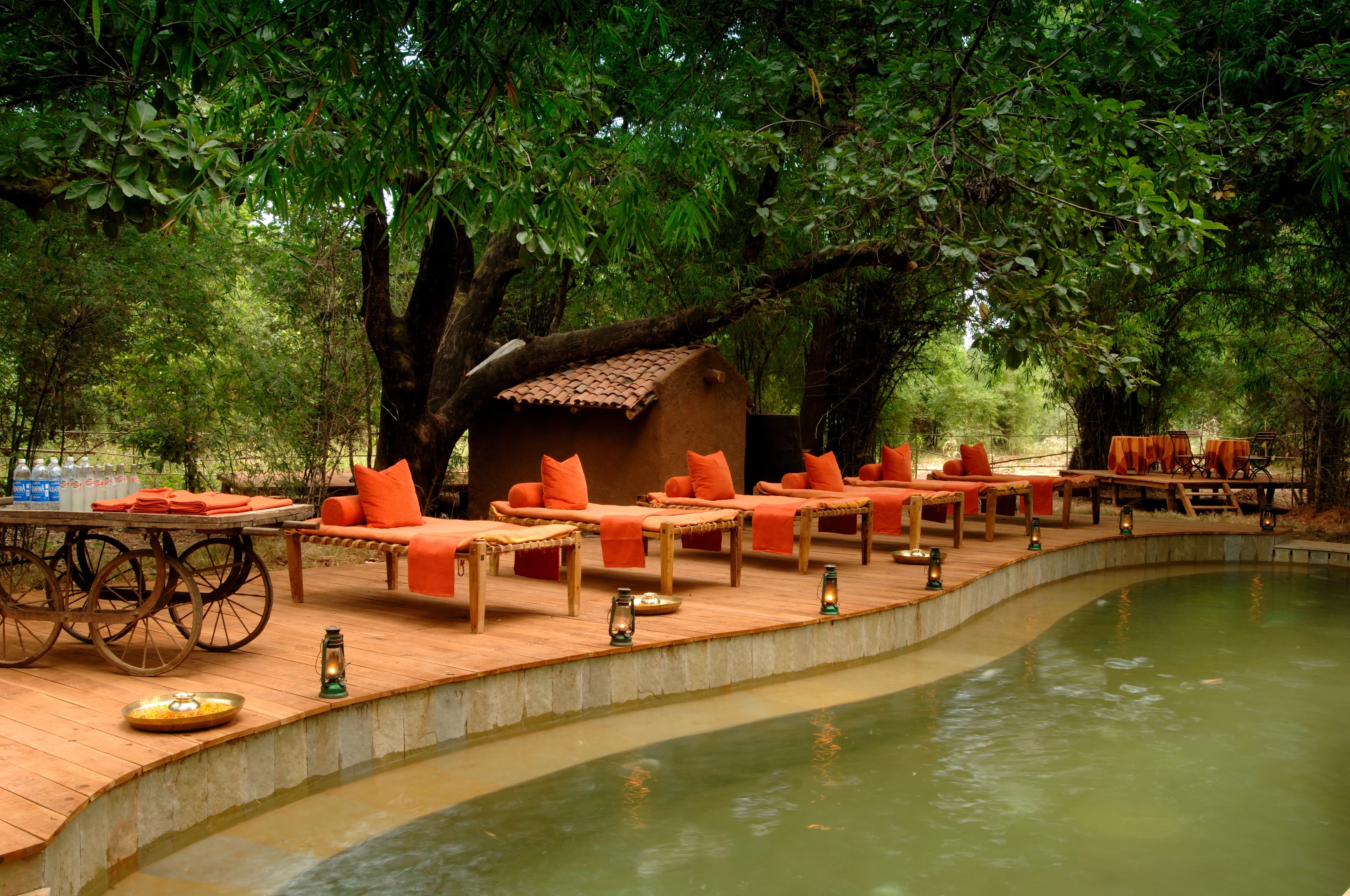 IN - Mahua Kothi Lodge - Pool Terrace.webp