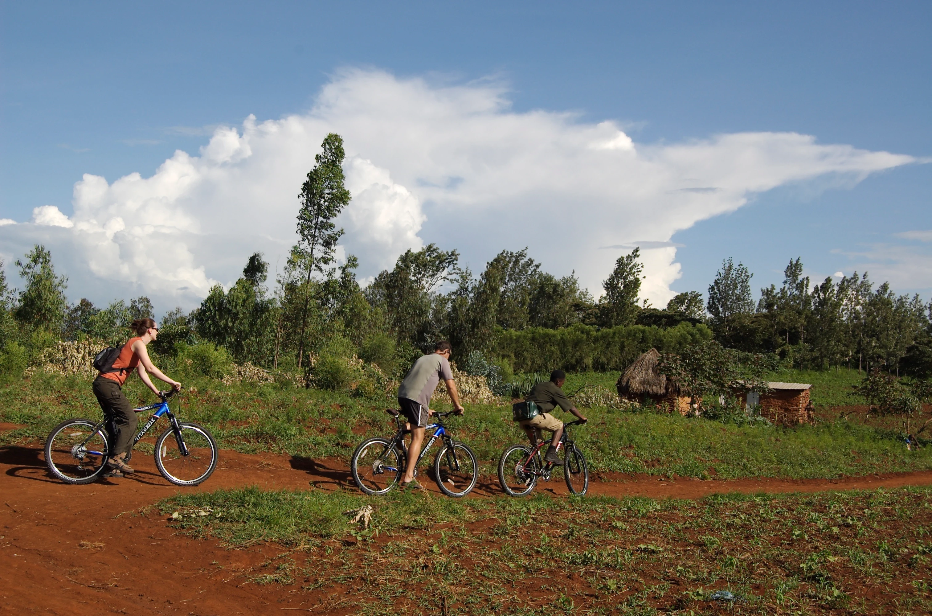 TZ - Gibbs Farm - biking.webp