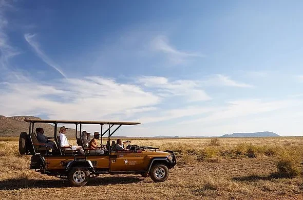 ZA-Accommodatie-Molori-Safari-Beleven.webp