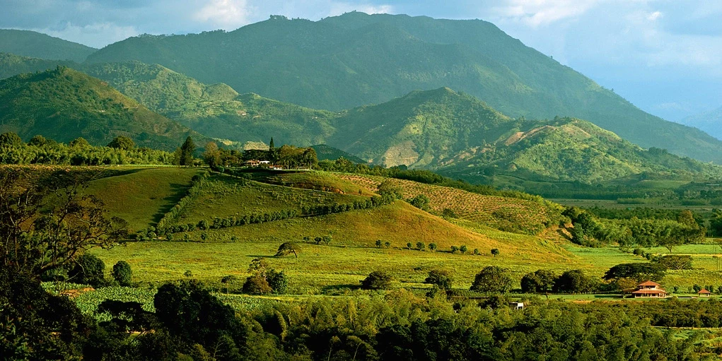 CO-accommodatie-Hacienda-Bambusa (12).webp
