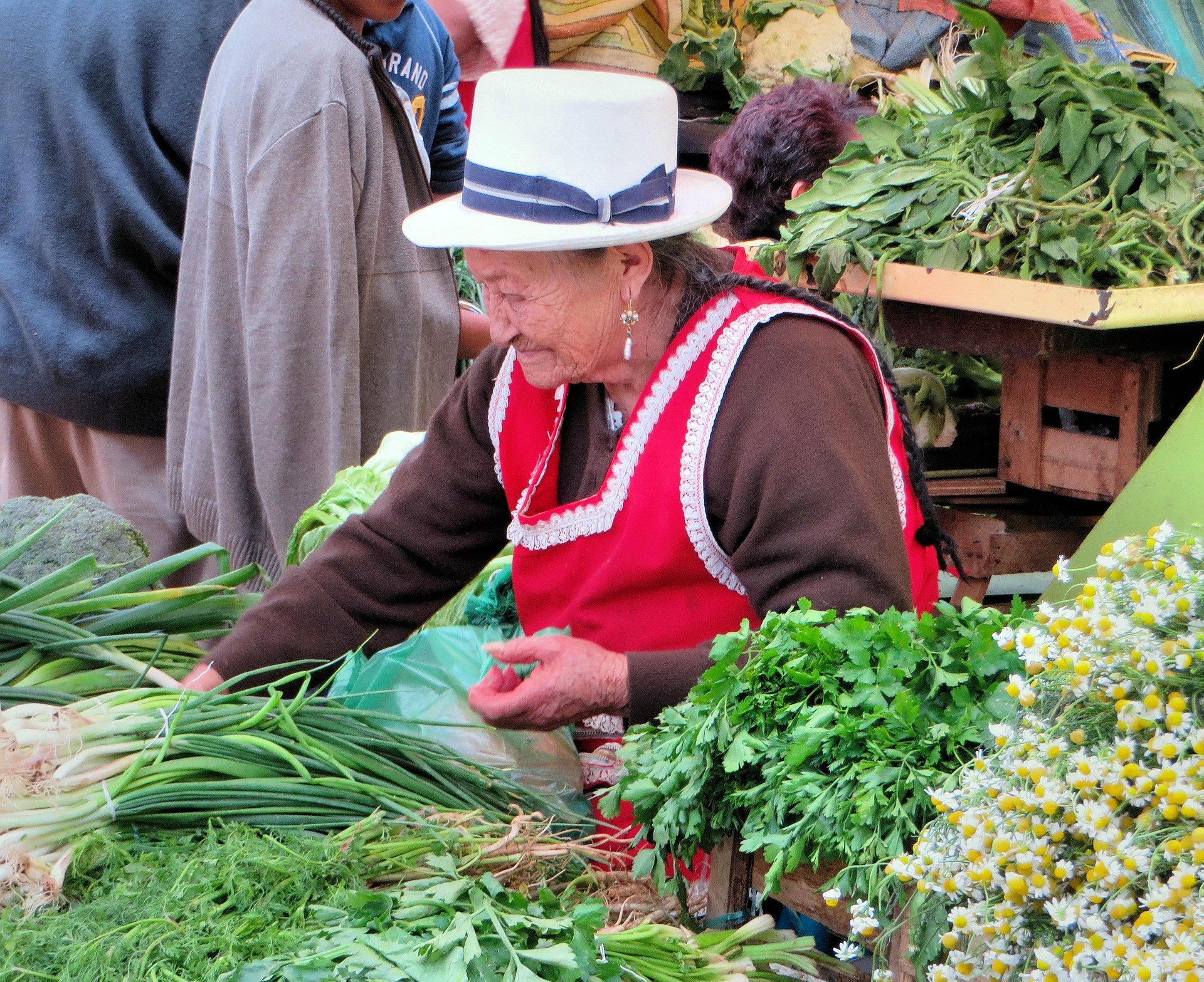 dezalb-cuenca-917094_1920.jpg