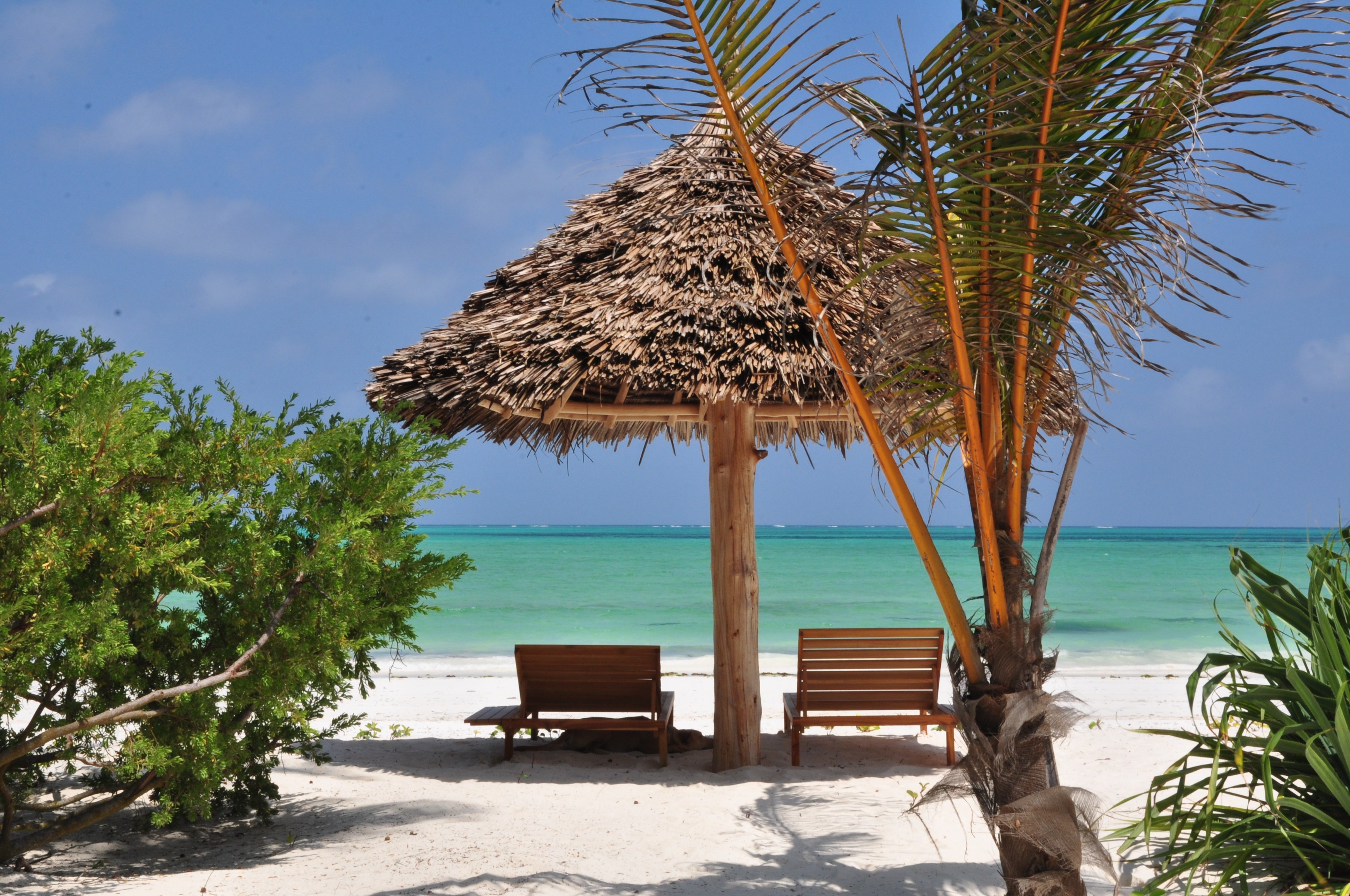 TZ - White Sands - Lounge chairs.JPG