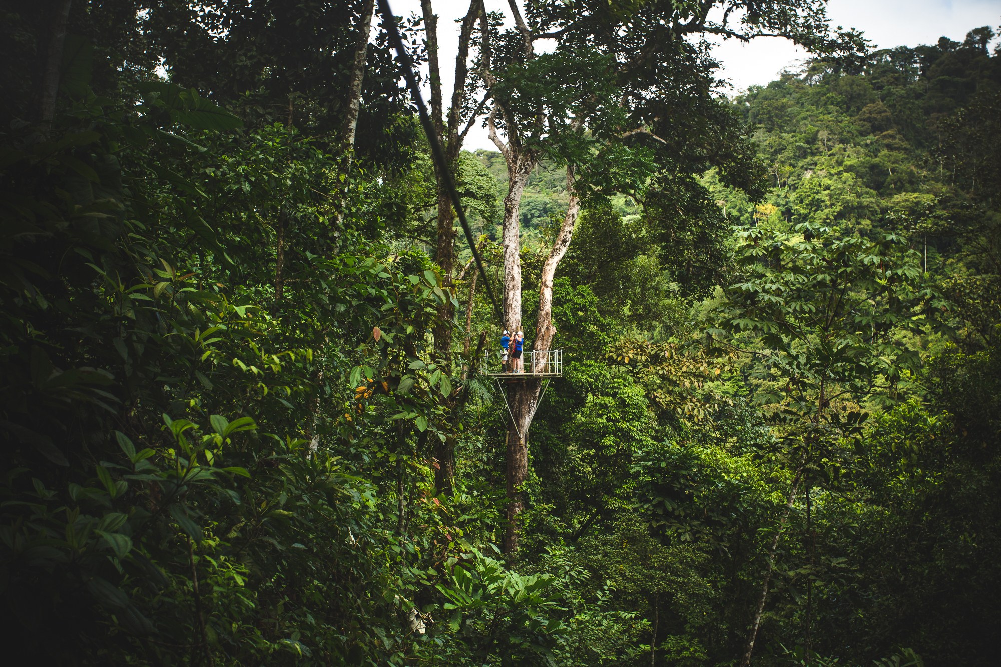CR_zipline_header.jpg