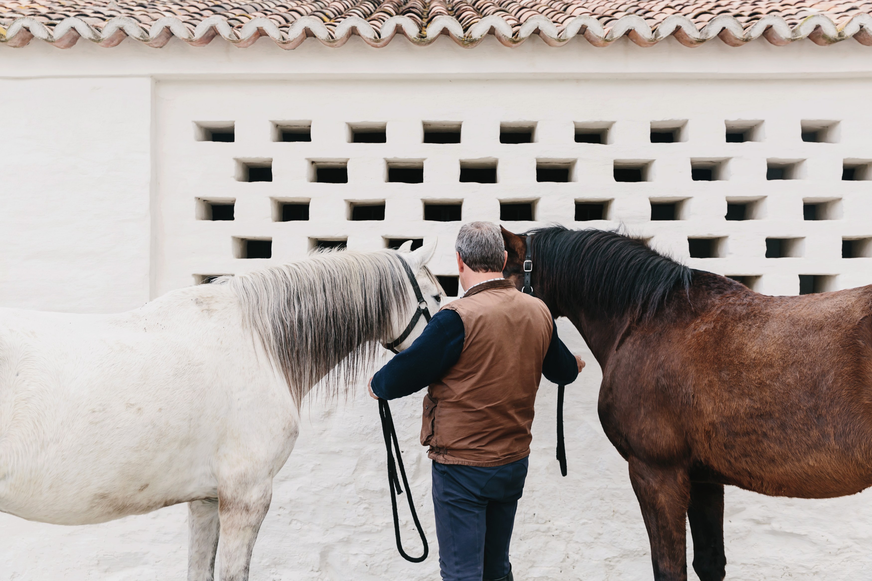 PT-Alentejo-Interior Alentejo-Accommodaties-Sao Lourenco de Barrocal-HORSES_Barrocal-31(©Alex Reyto).jpg