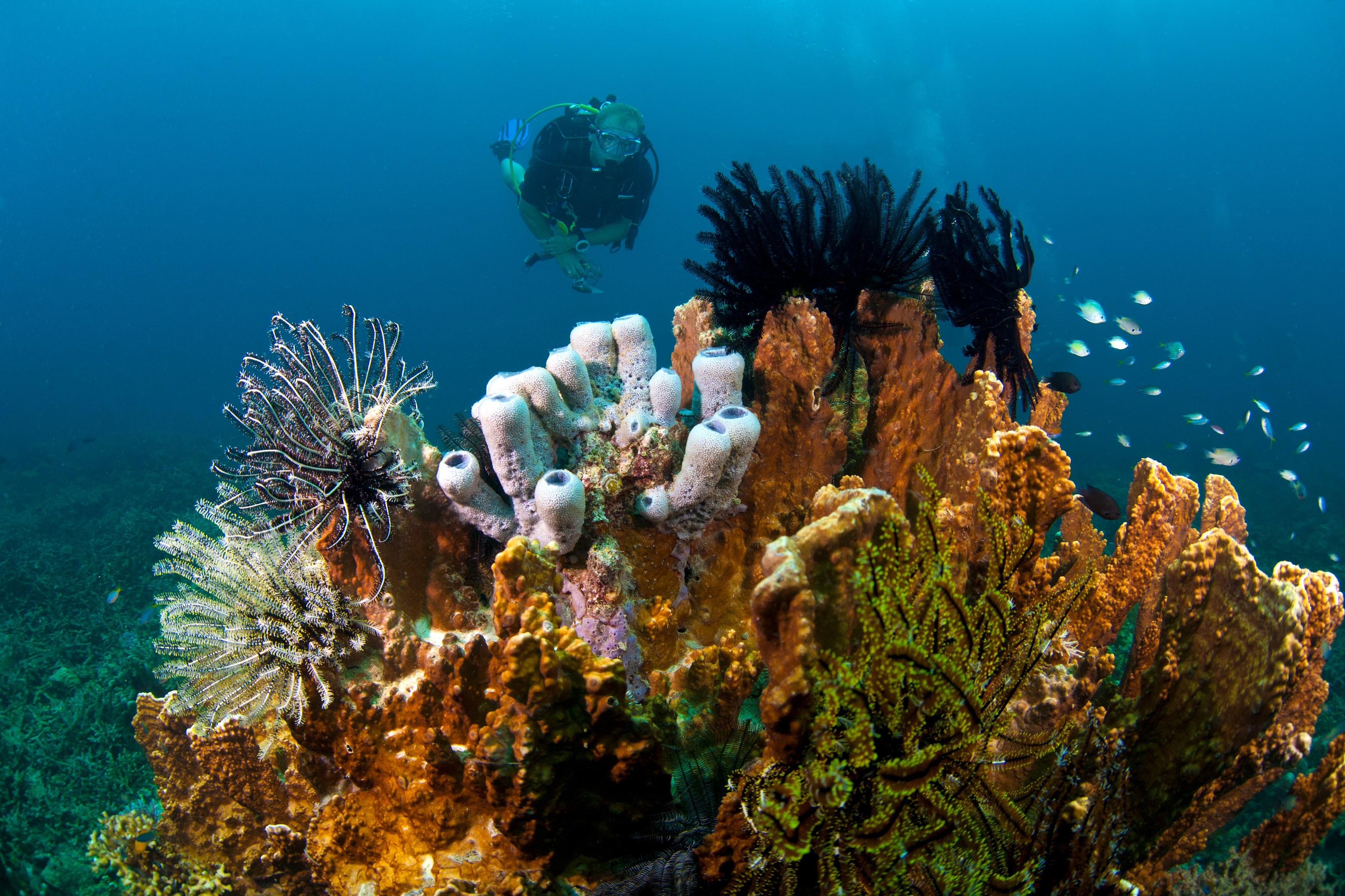 CO-excursie-snorkling-with-an-impact-beleven__1_.jpg