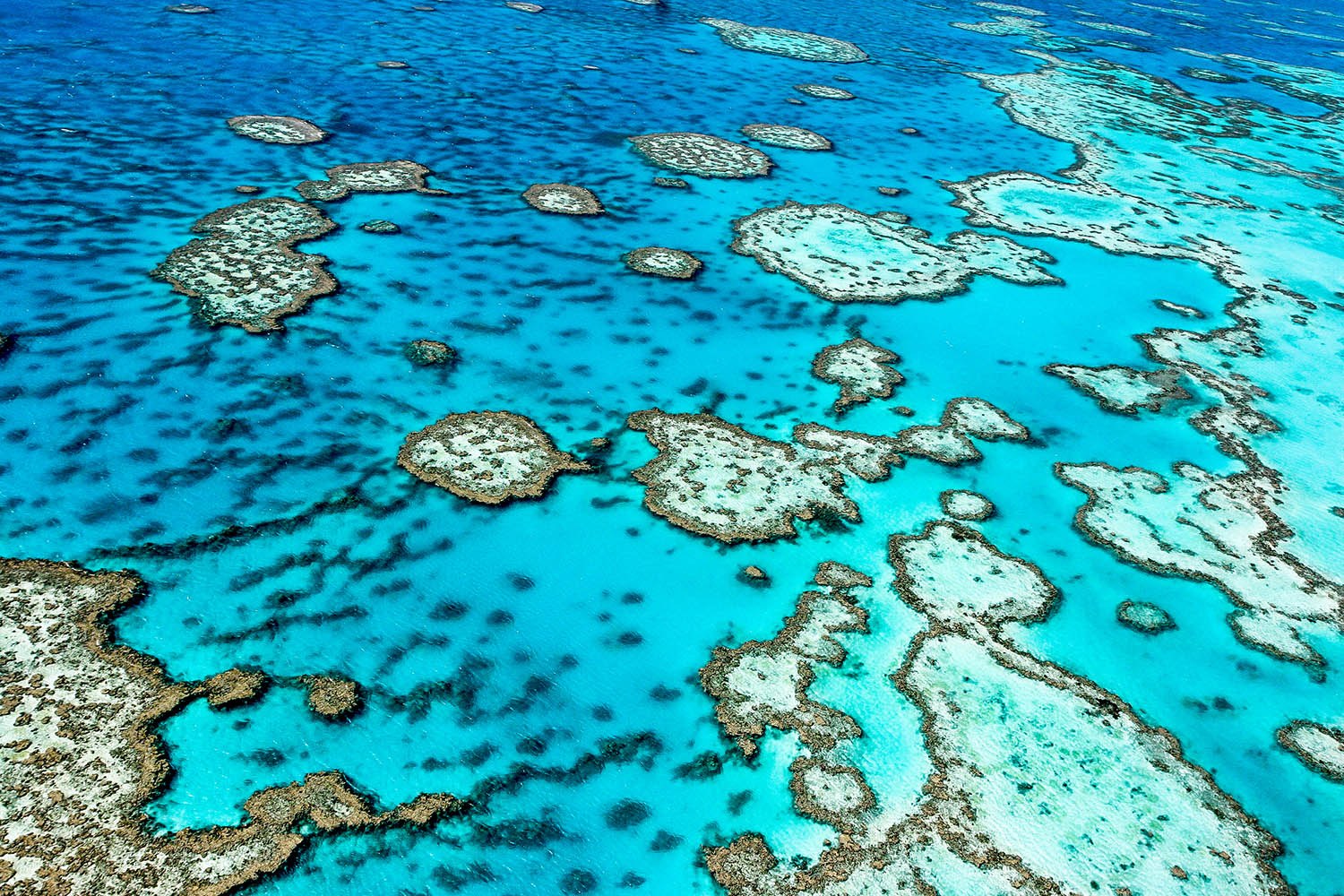 great-barrier-reef-shutterstock.jpg