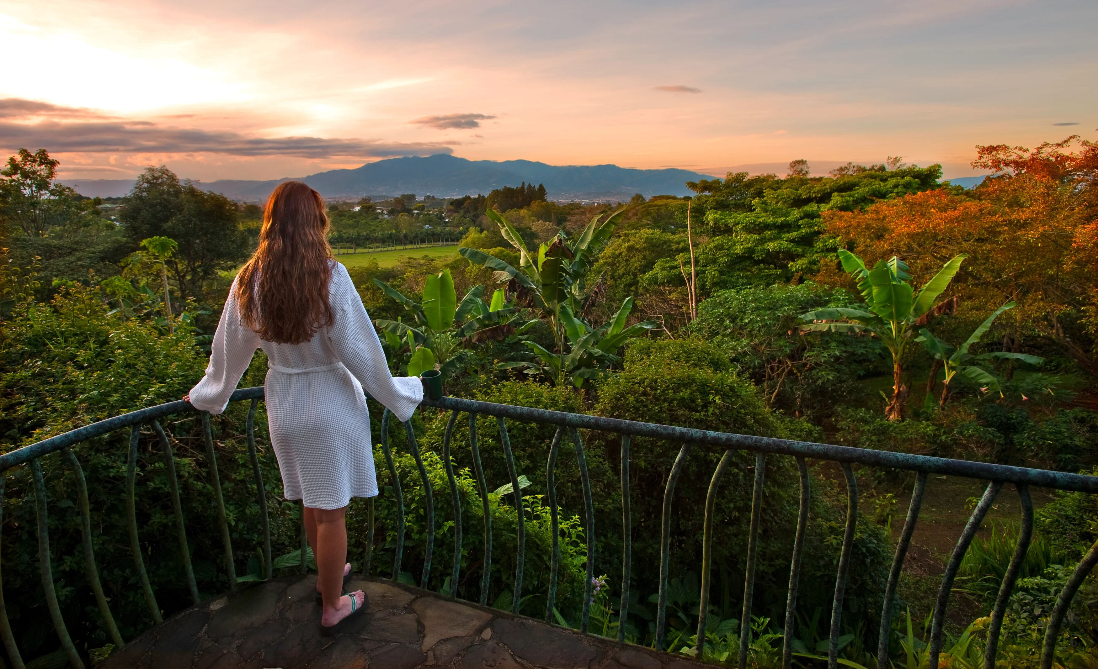 CR- Finca Rosa Blanca-terrace.webp