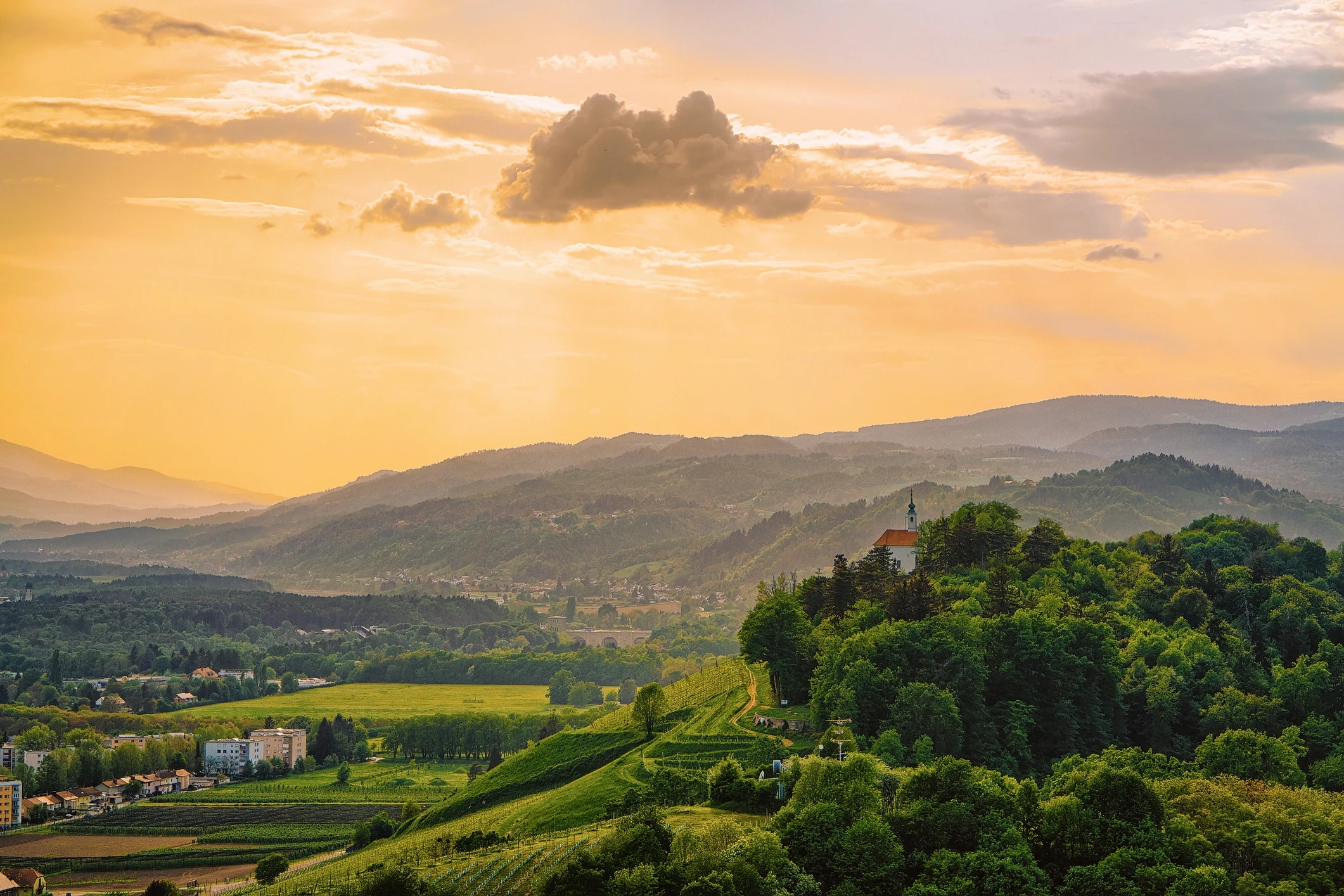 SI - landscape.webp
