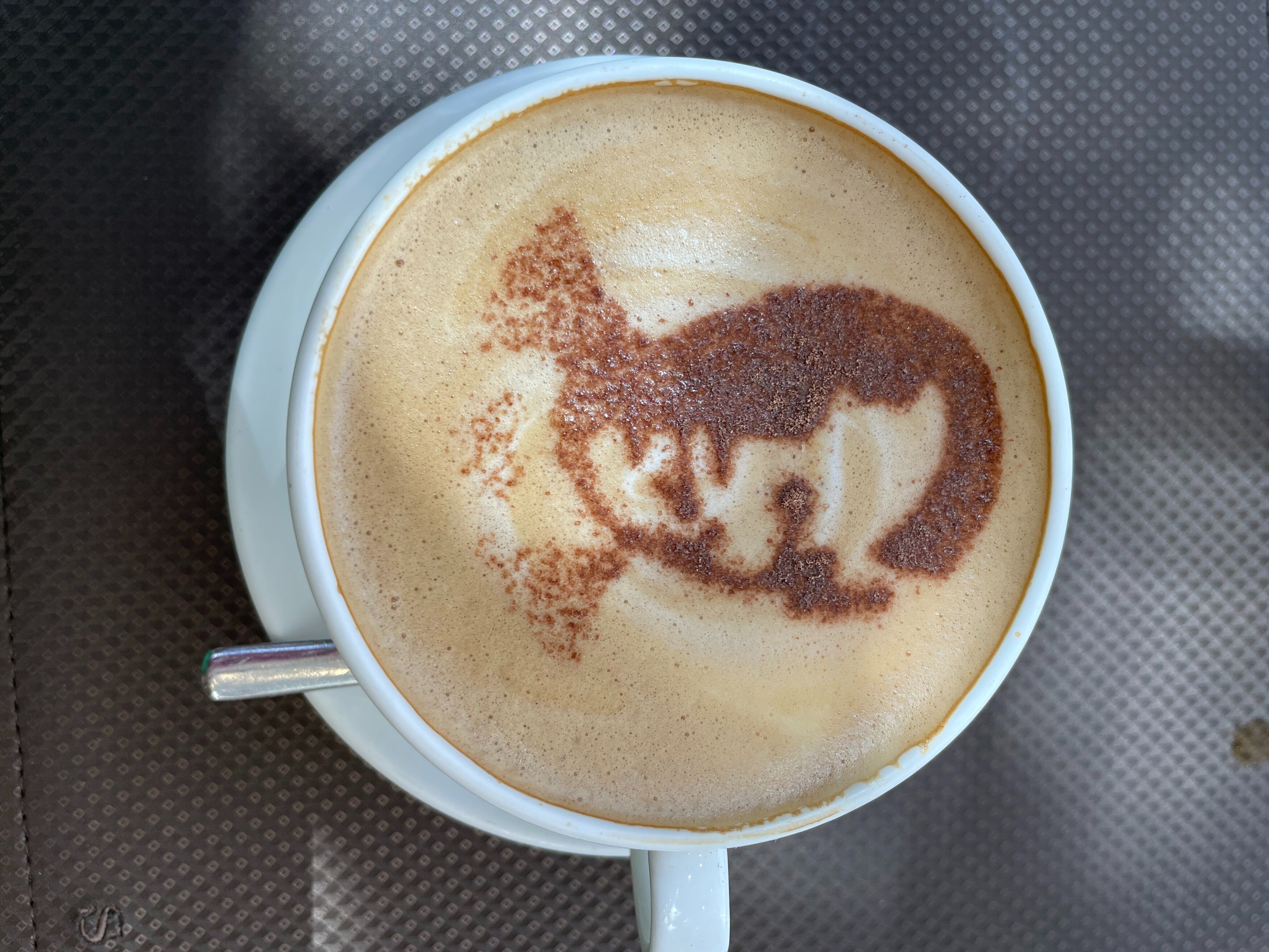 ZA-The Saxon-Cappucino.jpg