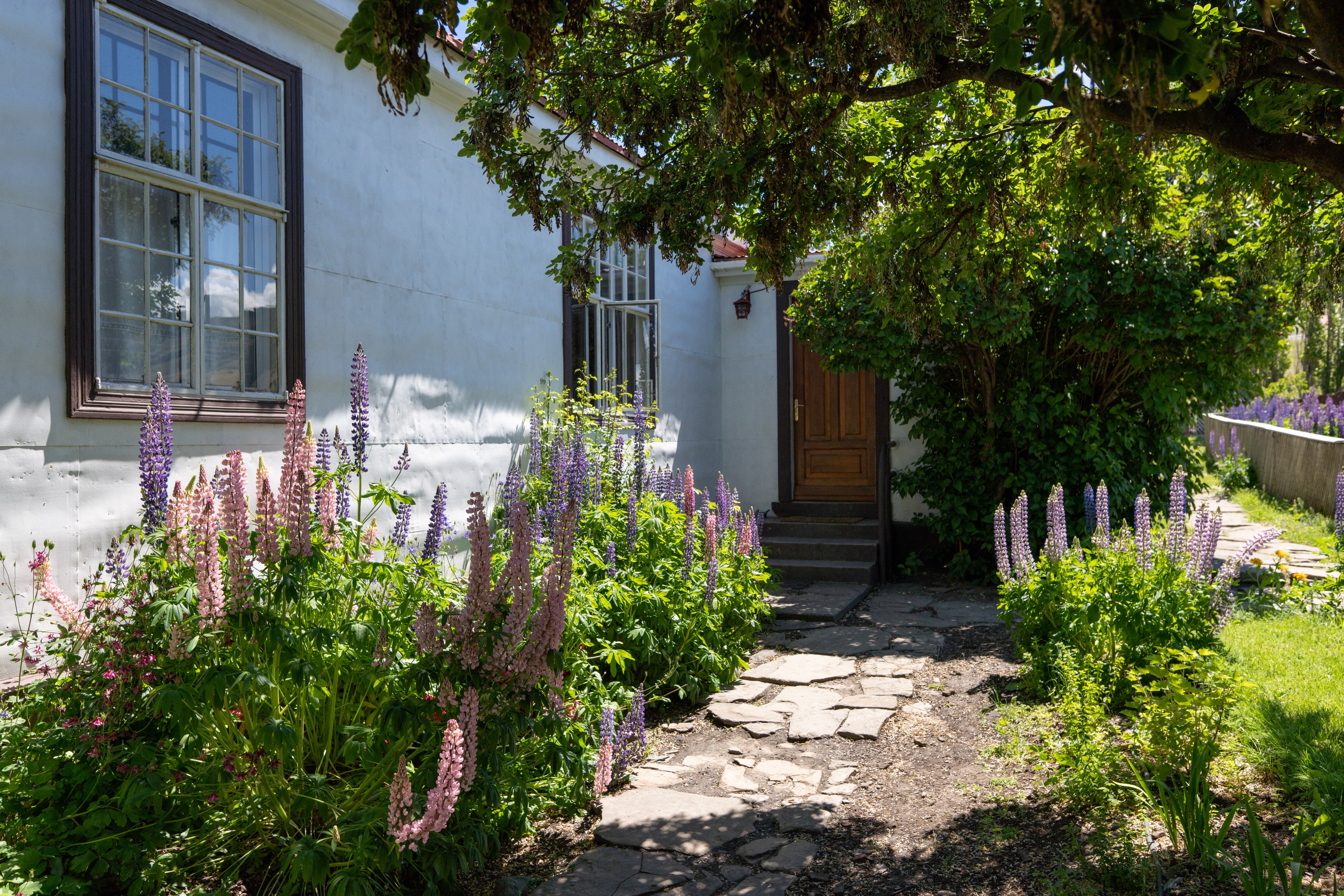 CL-Estancia-Cerro-Guido-Pathway.jpg