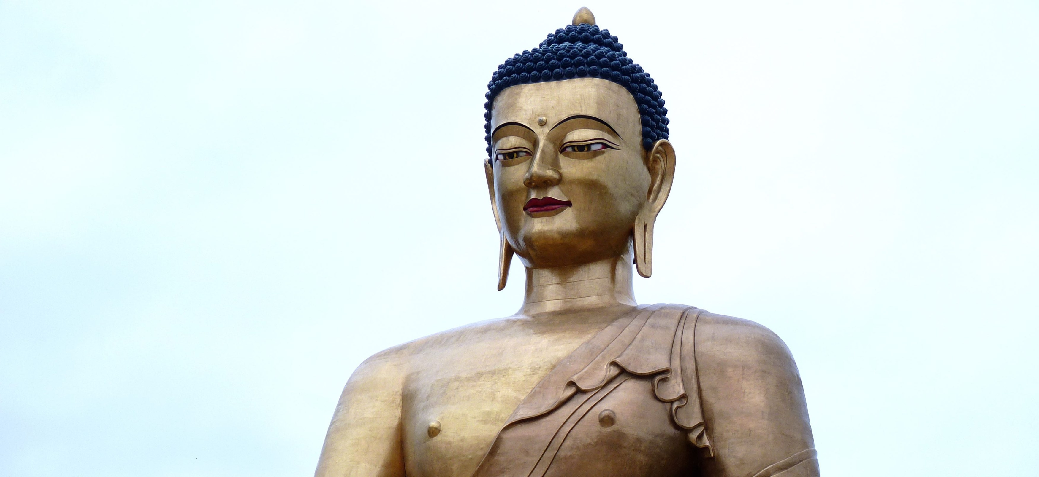 BT-Bhutan-Buddha-Thimpu-Bijgesneden.jpg