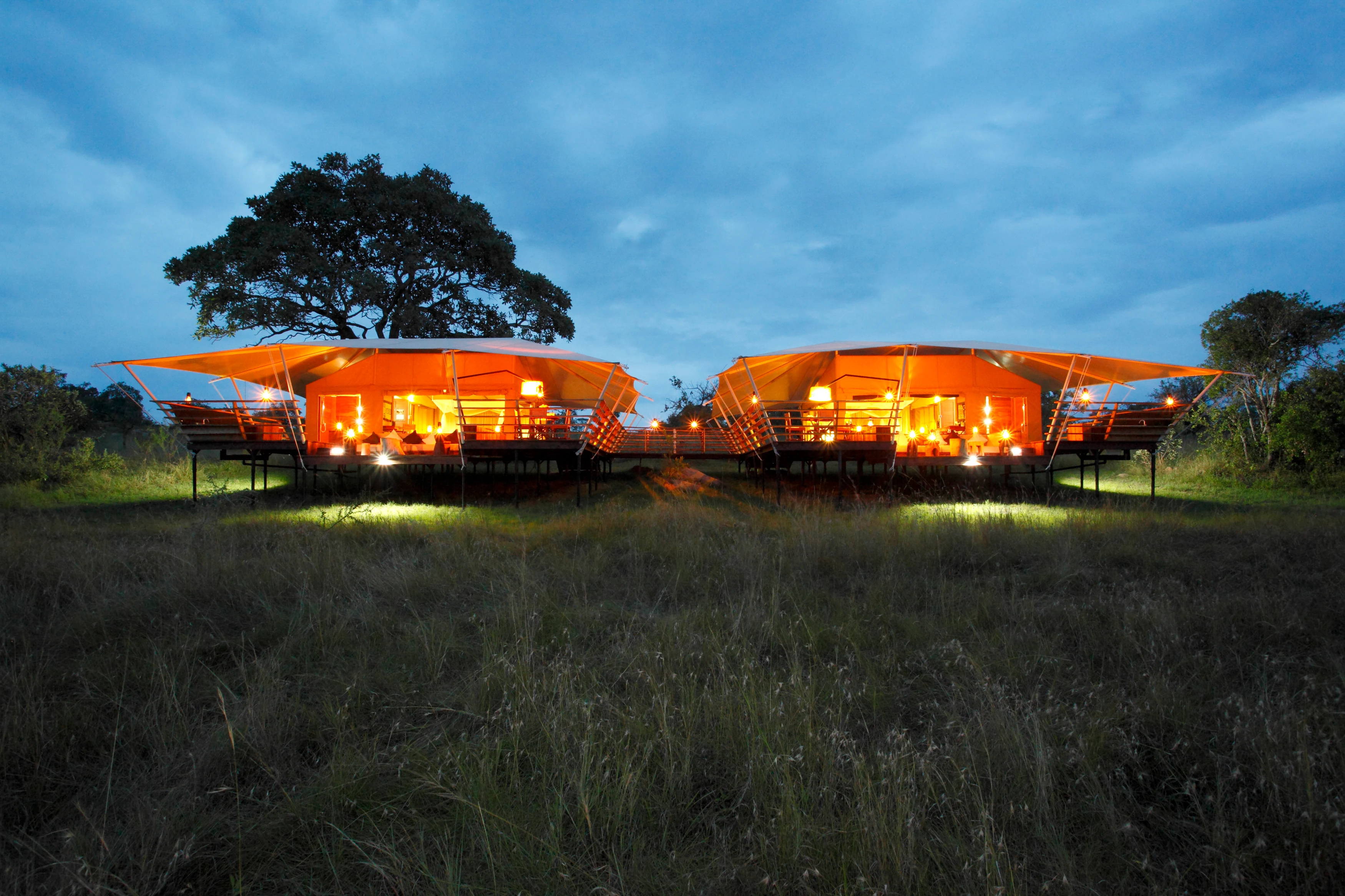 TZ - Serengeti Bushtops - family tent.webp