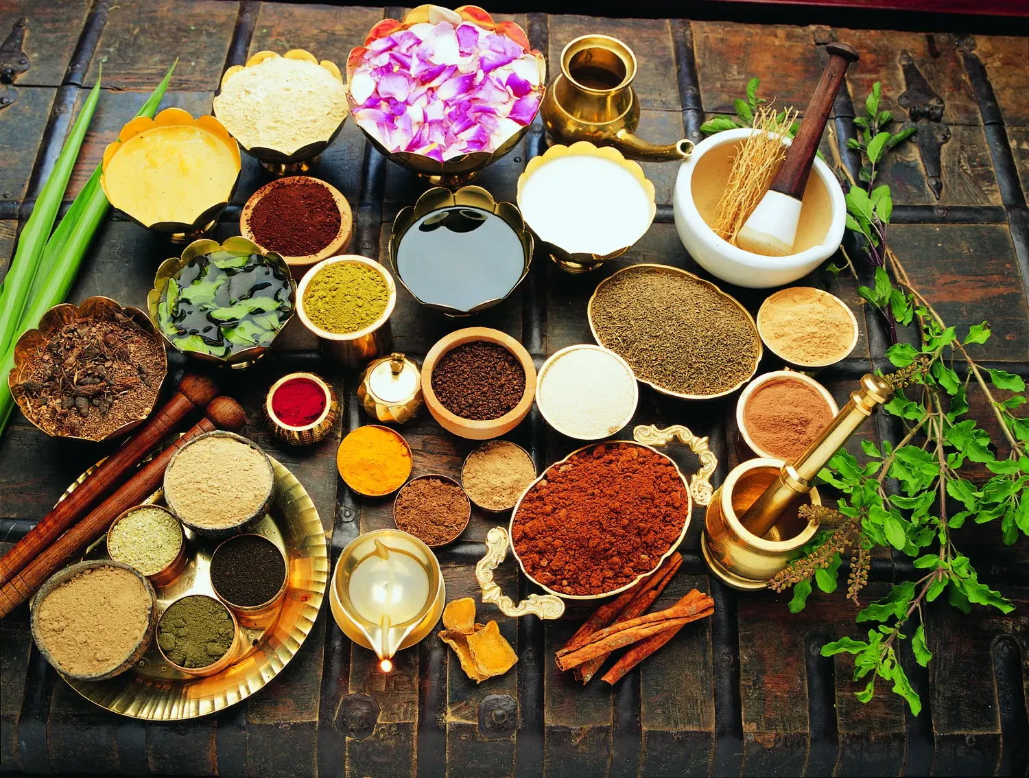 IN- Evolve Back Coorg - Herbals.webp