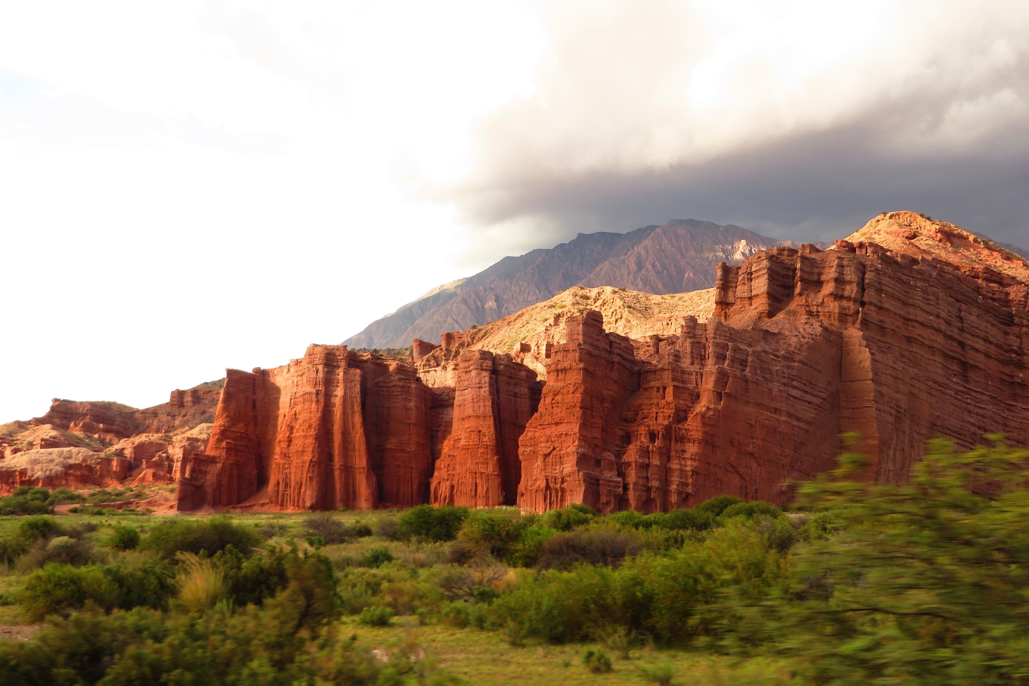 silkesauer-argentina-3800458.jpg