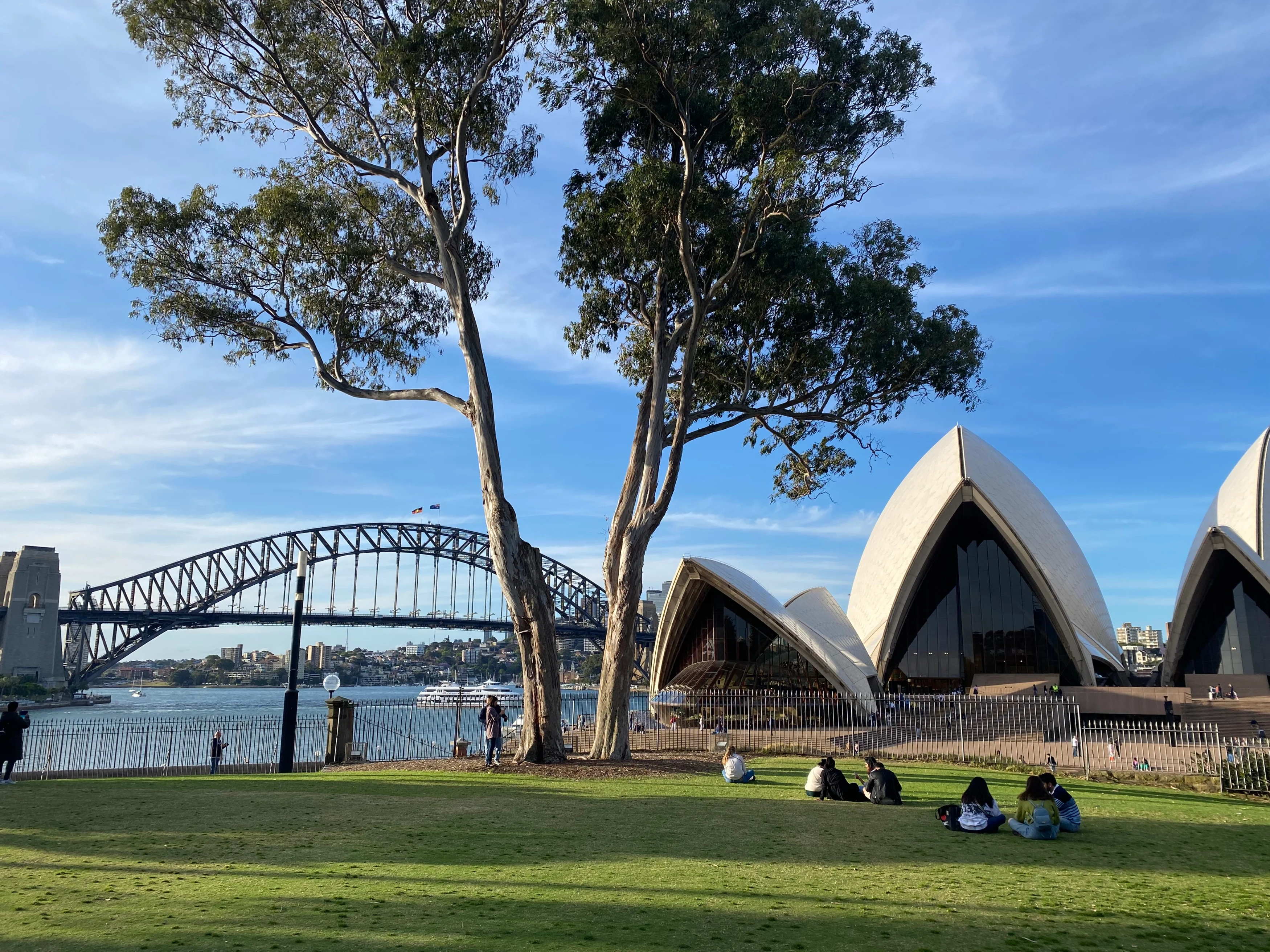 Sydney uitzicht vanuit Botanische Tuinen.webp