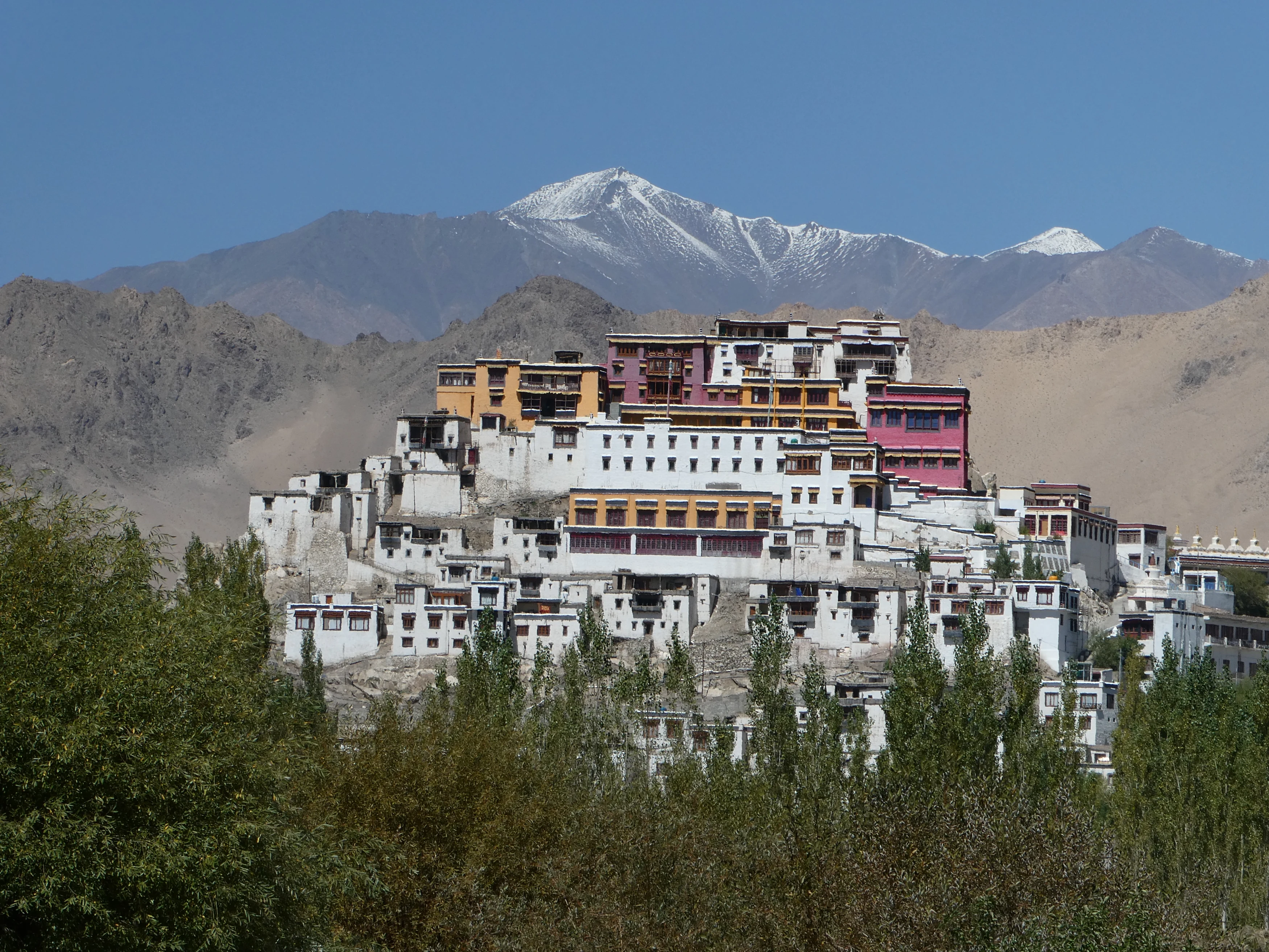 IN-vakantie-Bar-View-Thiksey-Camp-Thiksey-Monastery.webp