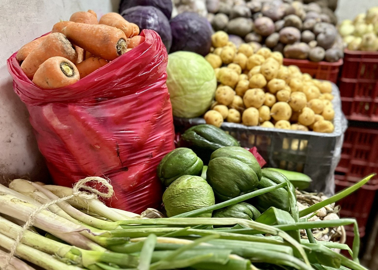 CO-excursie-Bogota's-market-life (4).JPEG