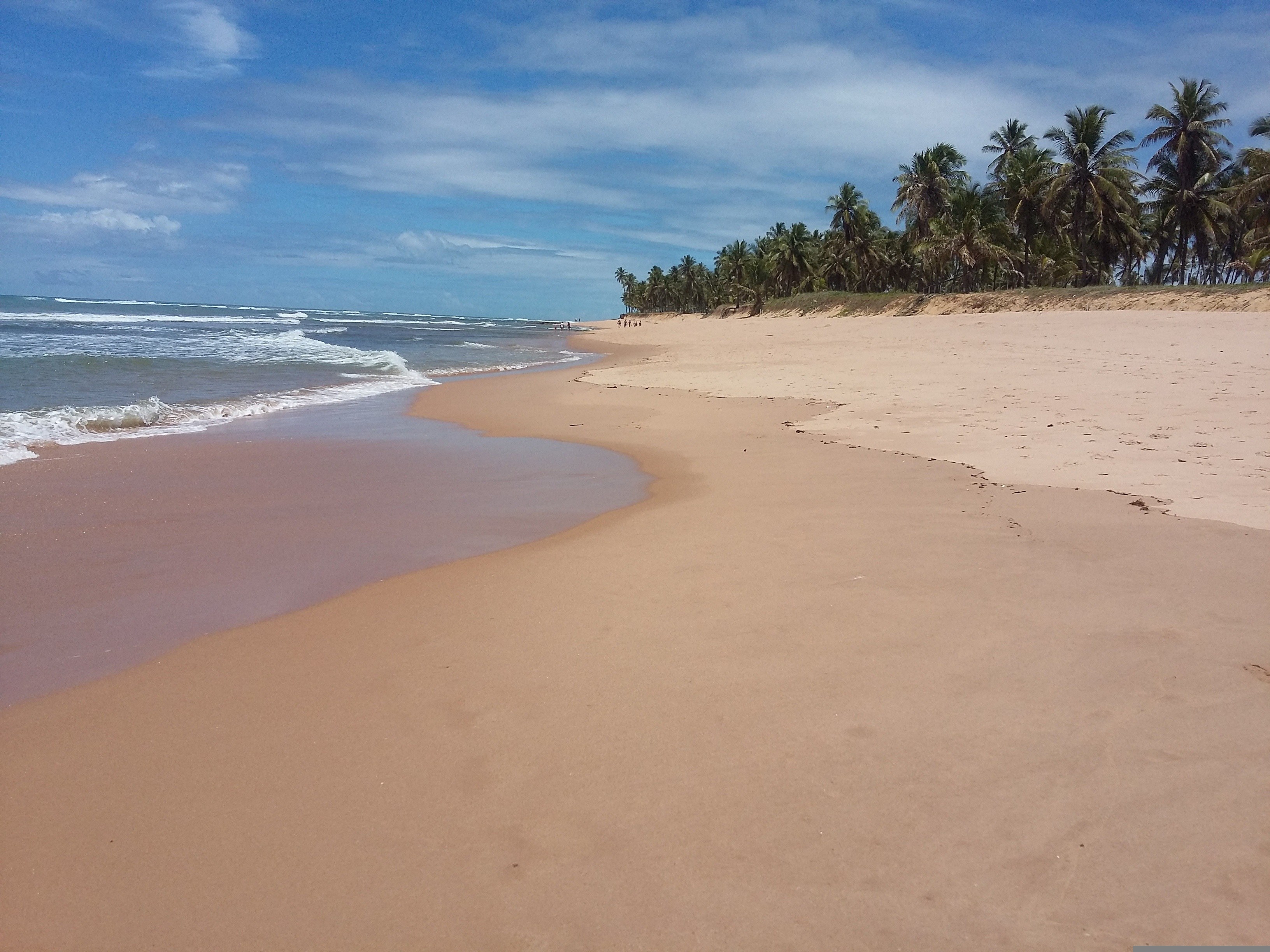 BR - Praia do Forte.jpg