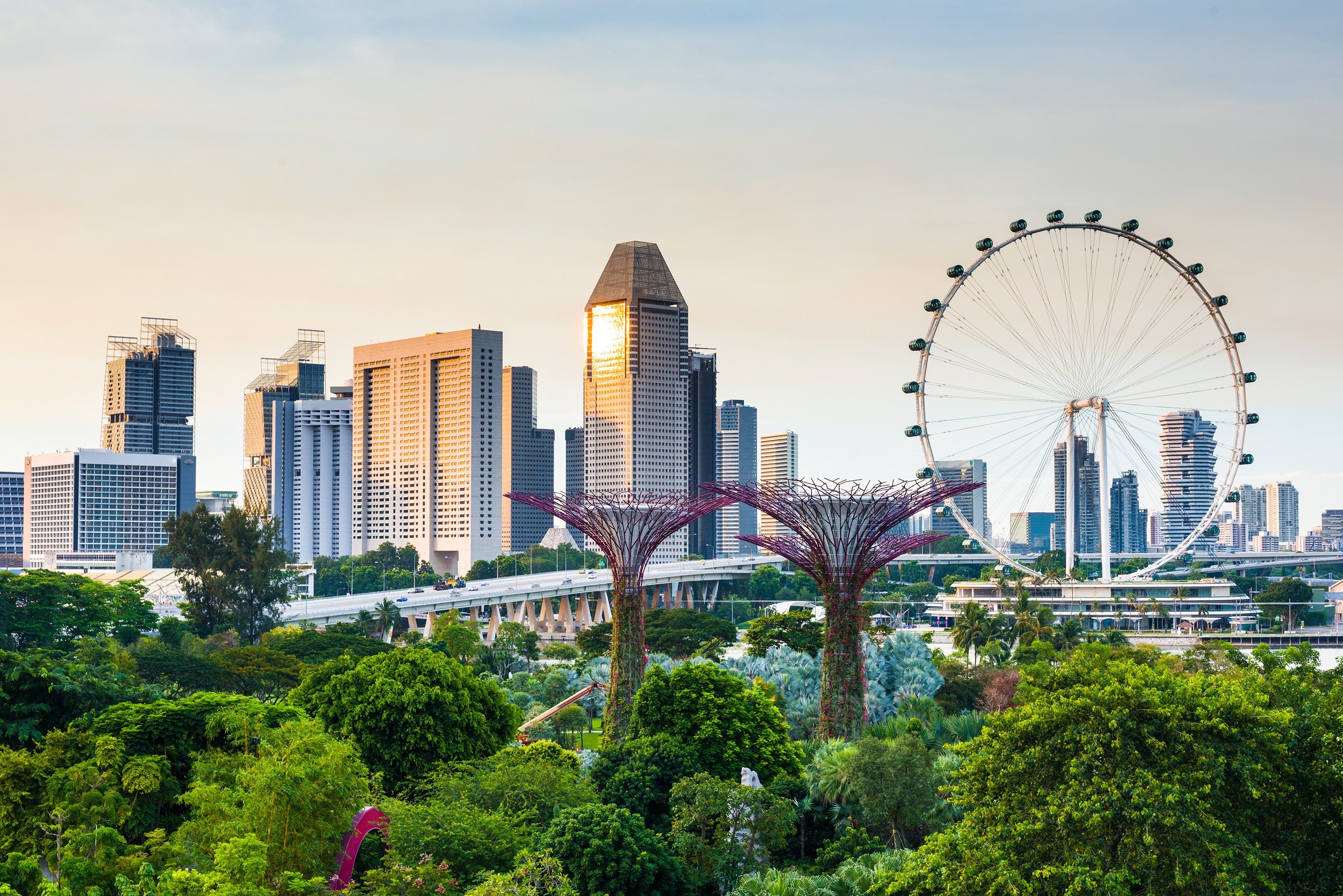 SG- Singapore Skyline View - Shutterstock.jpg