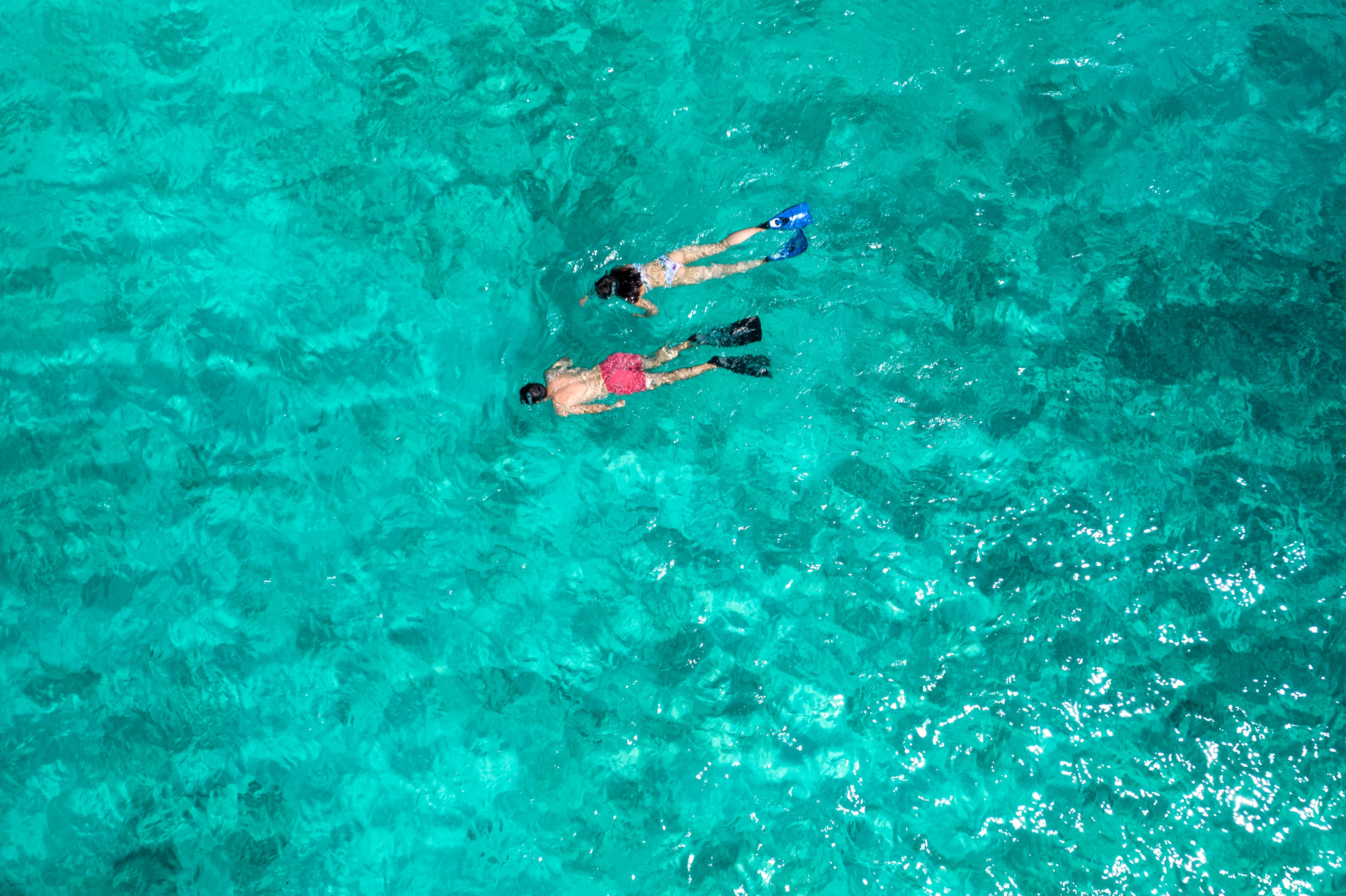SC - North Island - Activities - Snorkeling.jpg