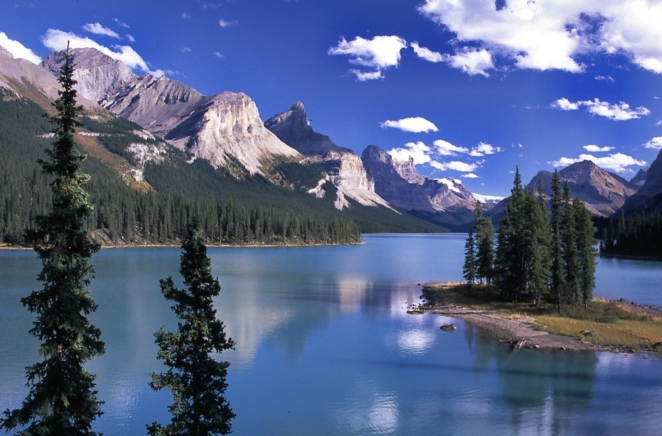 CA-Jasper Eco Tour National Park.jpg