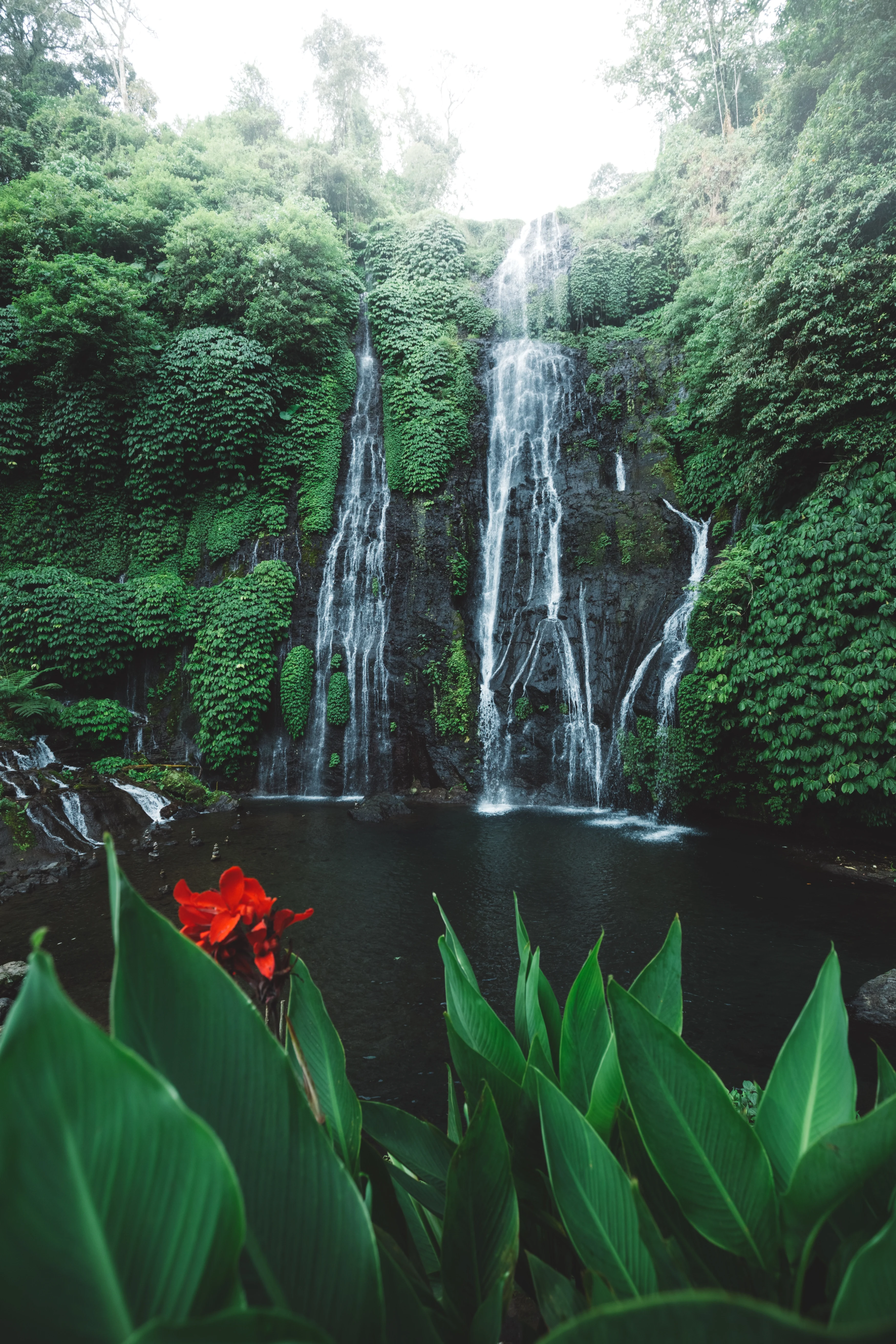 IN - Munduk Moding Plantation - Activities - Banyumala Waterfall (3).webp