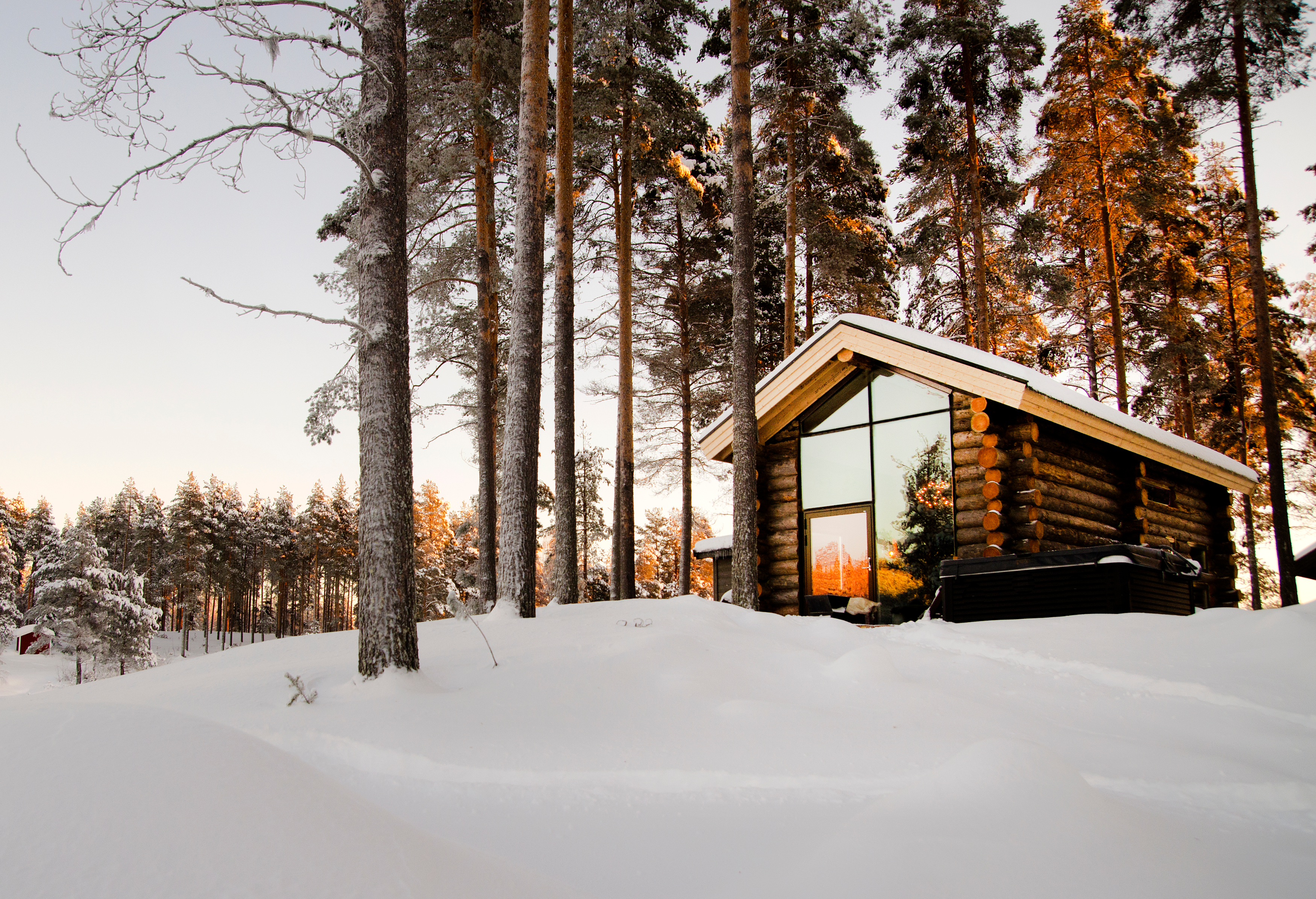 SE - Arctic Retreat - Exterior-1.png