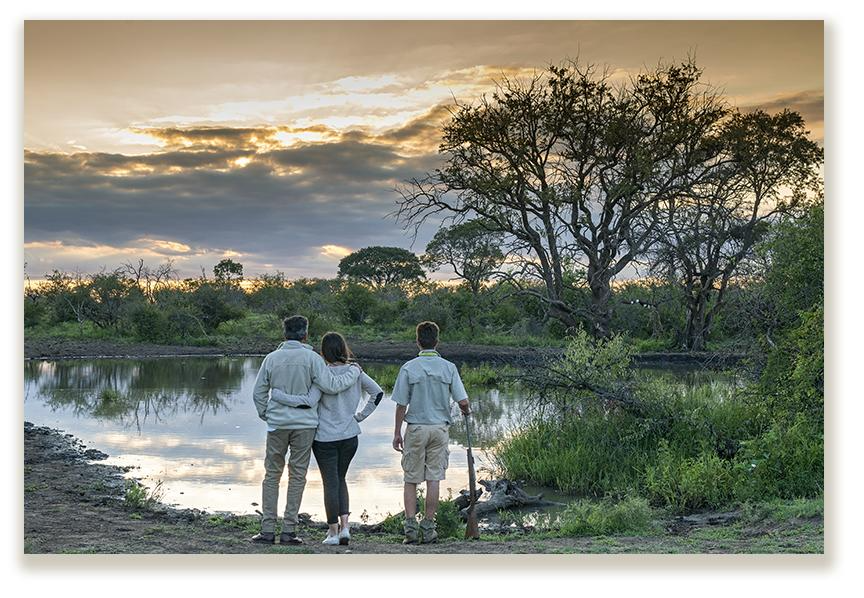 ZA-The Royal Madikwe-bush-walks.png
