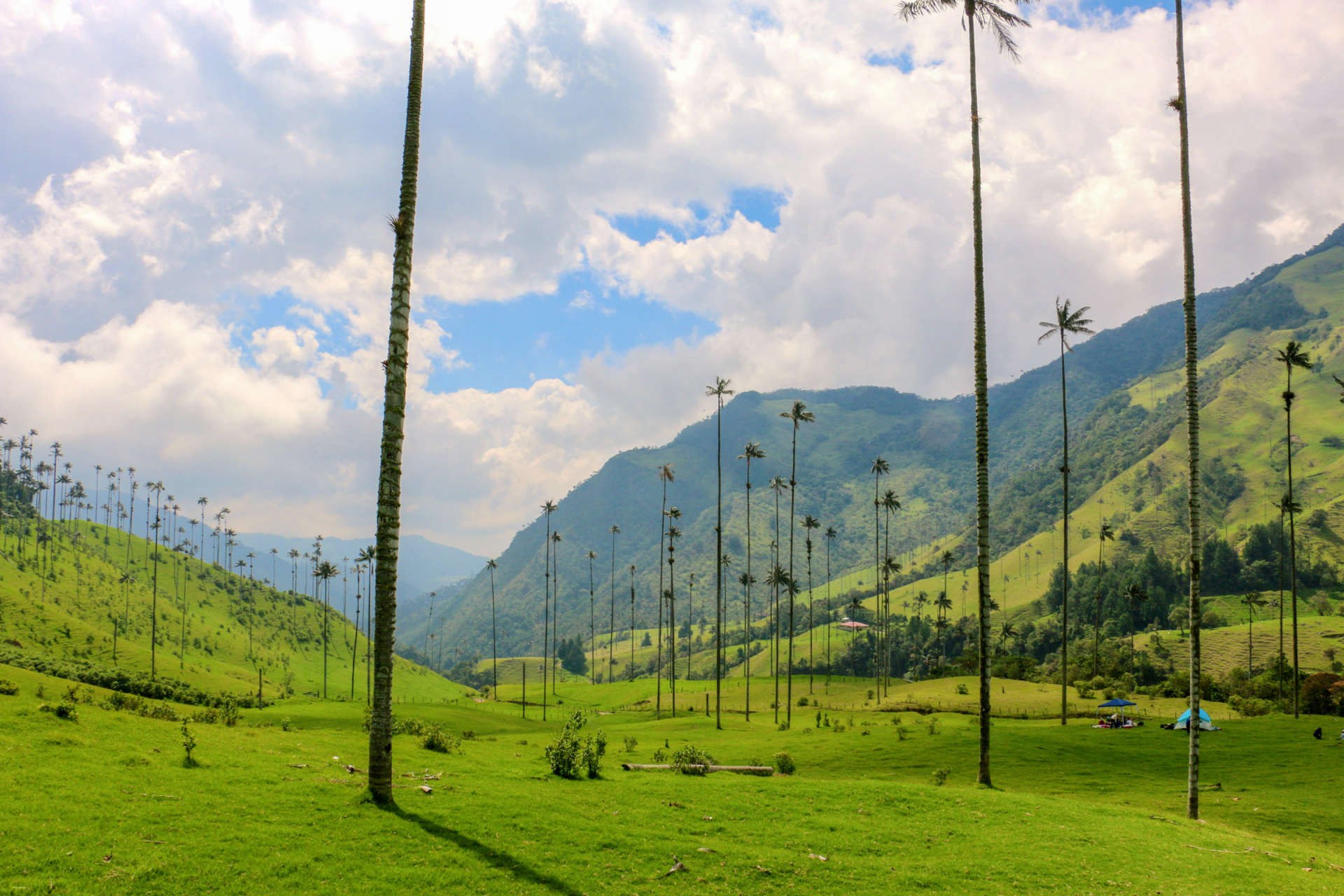 CO-Colombia-Header-Image-compressed.jpg