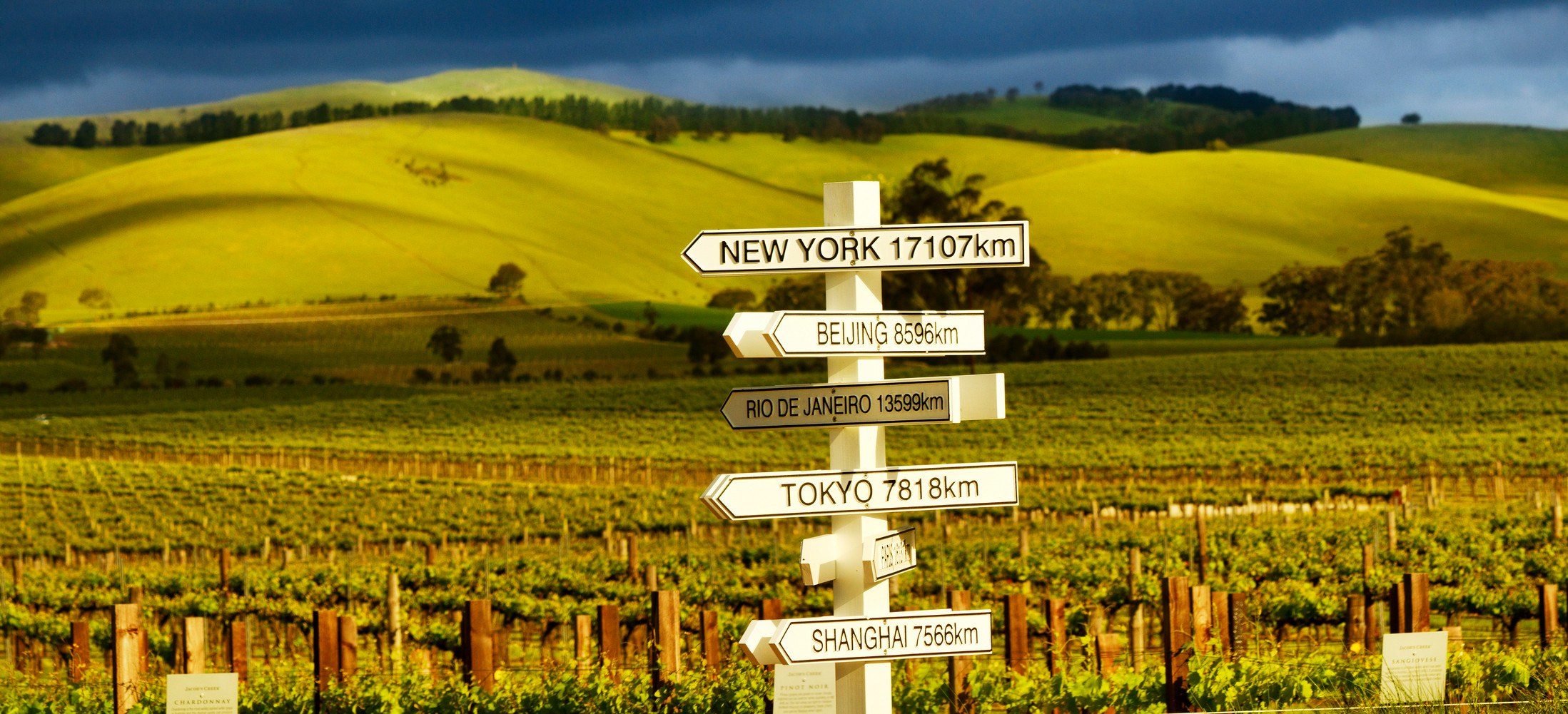 AU - Proef de Barossa Valley - Barossa Valley.jpg