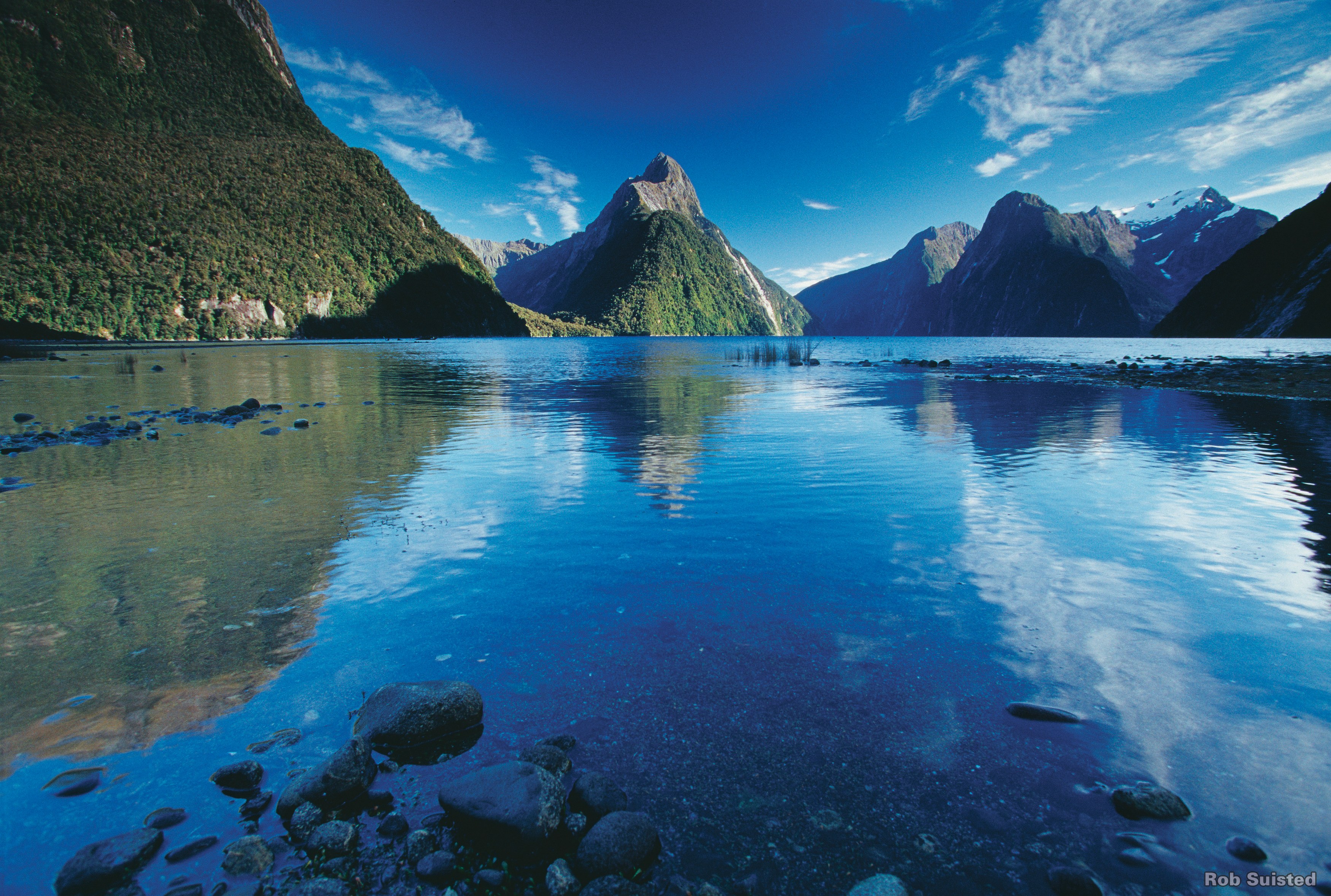 NZ - Fiordland NP - Milford Sound in summer.jpg