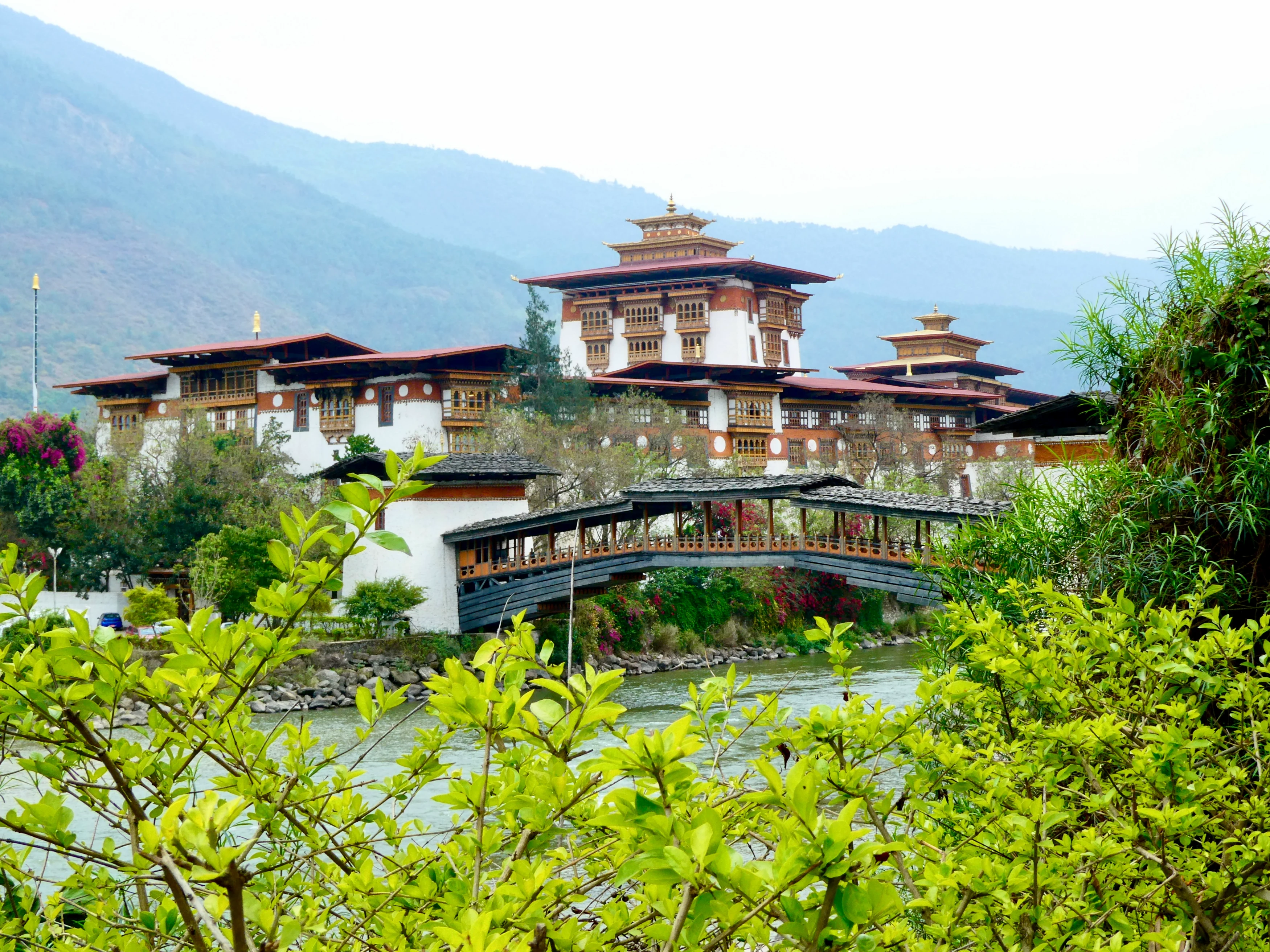 BT-vakantie-Barbara-Bhutan-Punakha-Dzong.webp