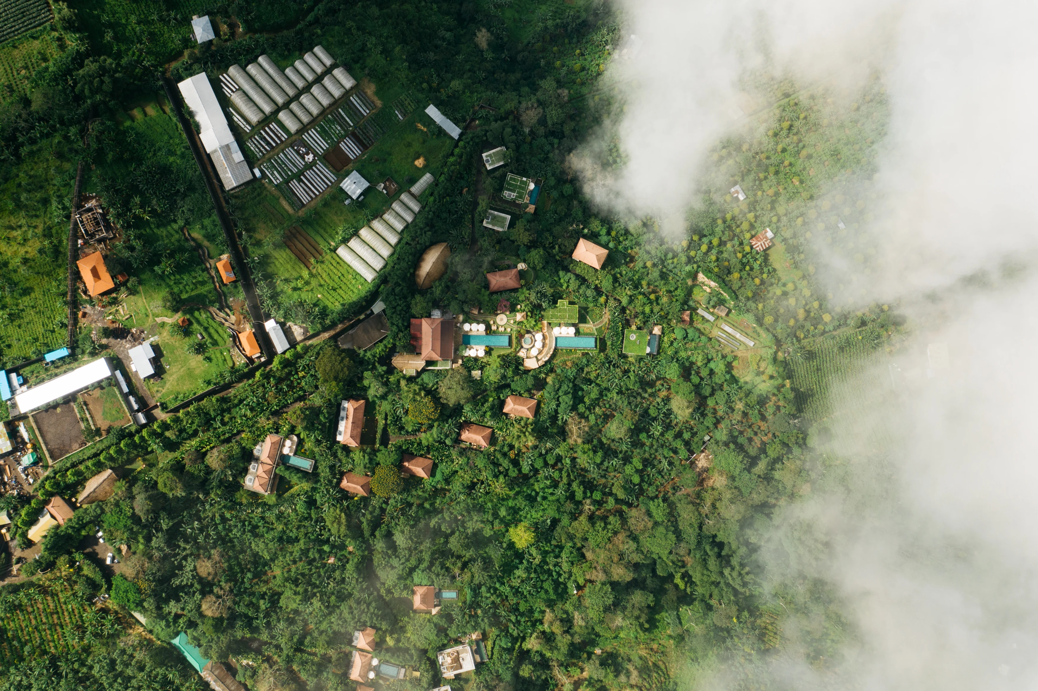 IN - Munduk Moding Plantation - Arial View Green (4).webp