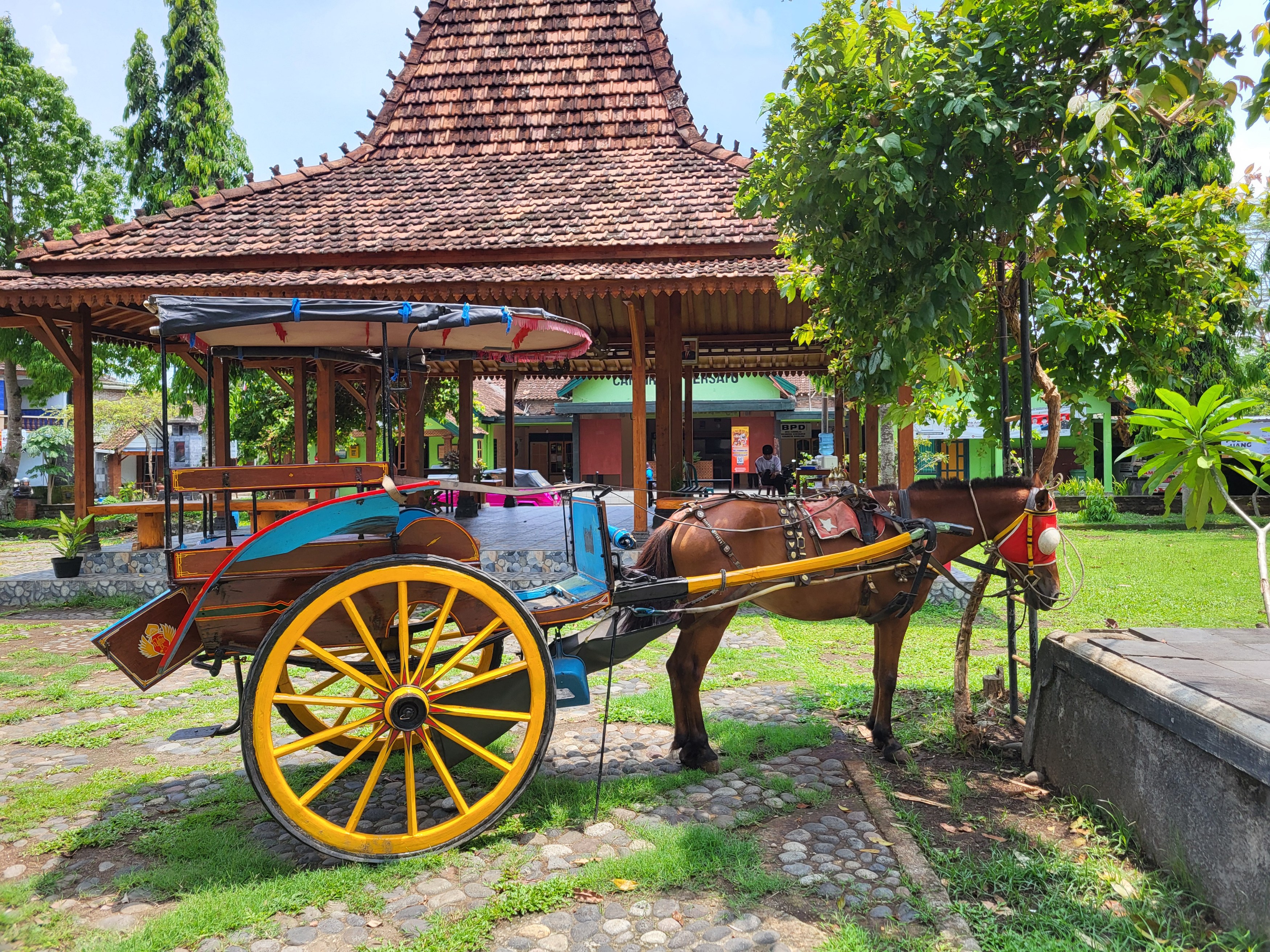Candi Rejo - paard en watgen.jpg
