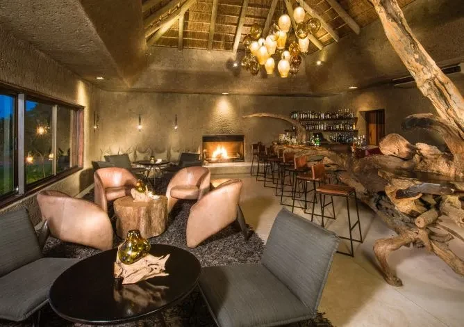 ZA-Sabi Sabi Earth Lodge-bar.webp
