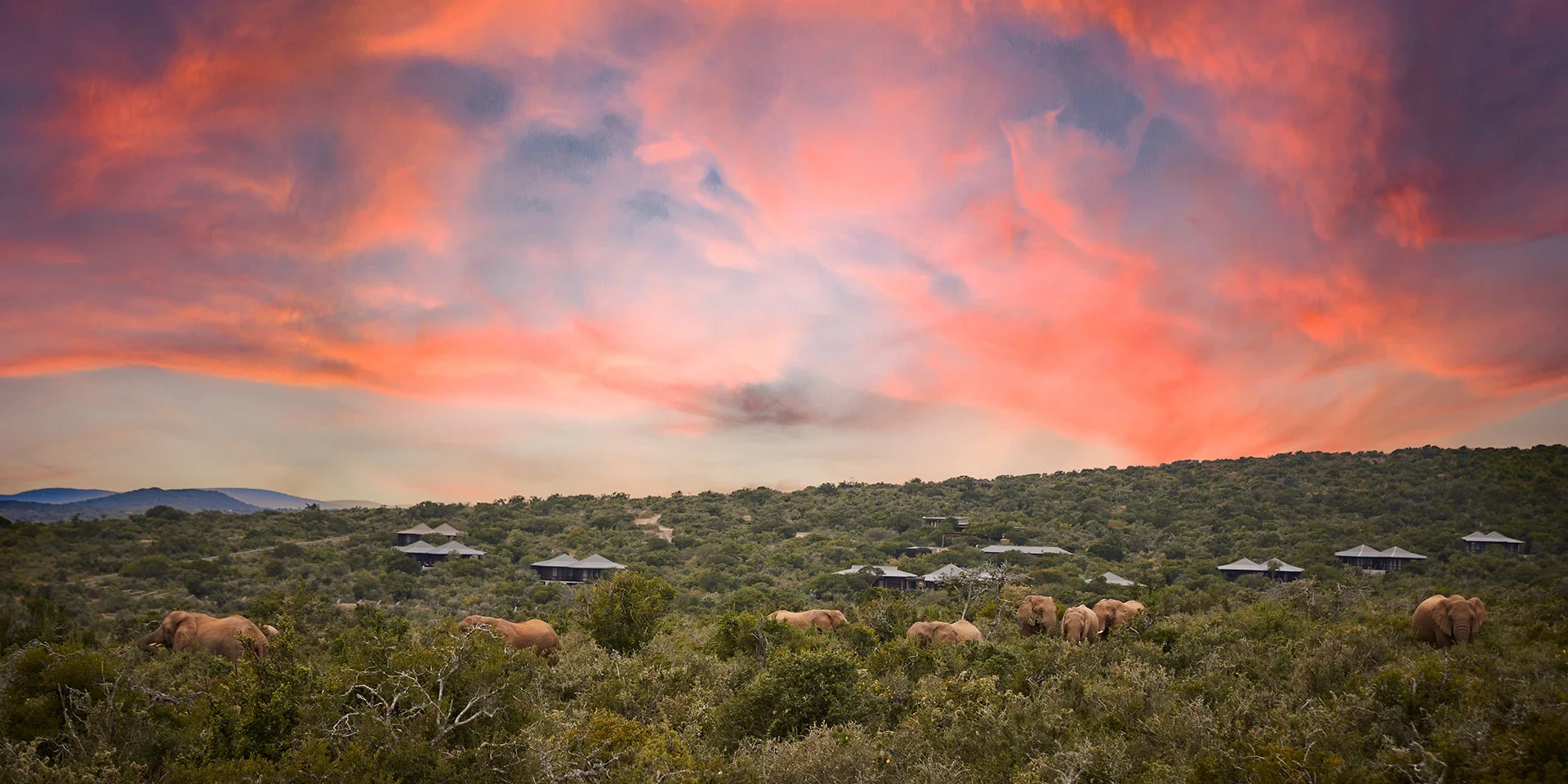 ZA-Kwandwe Ecca Lodge-Scenery.webp