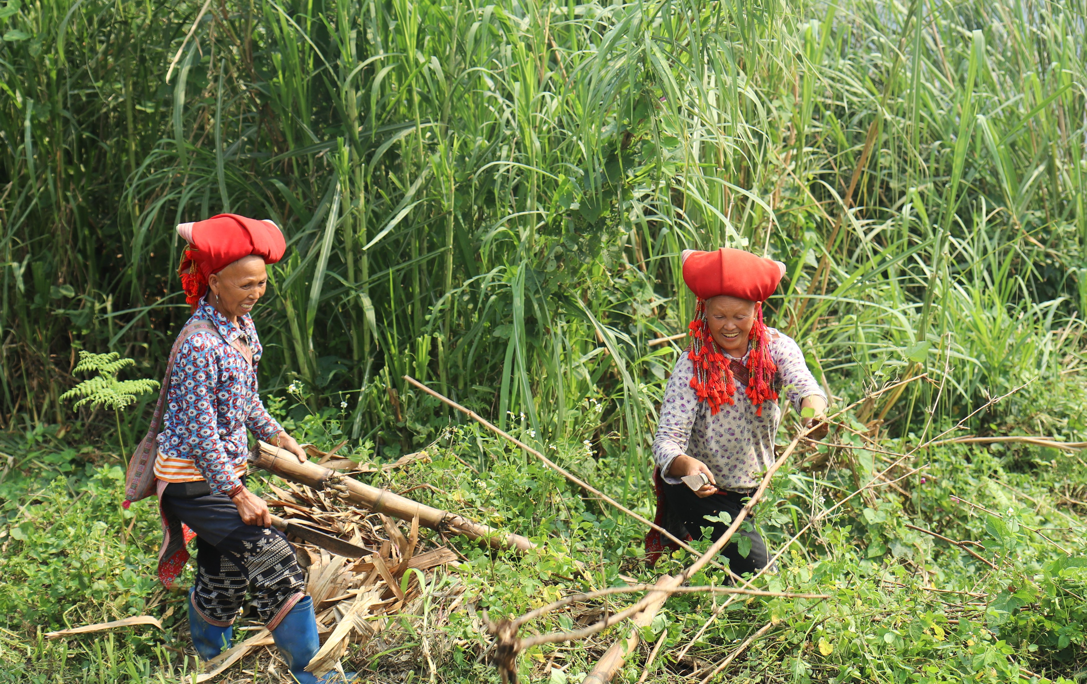 VN - Sapa Area - Red Dao - foto Astrid.jpg