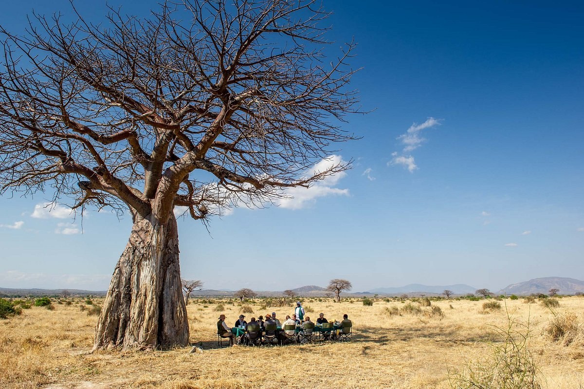 TZ-balloon_safari_Ruaha-breakfast.jpg