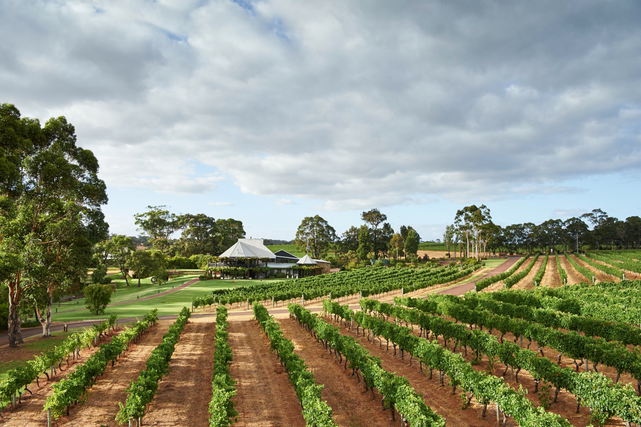 AU-Excursie-Margaret-River-vineyard.jpg