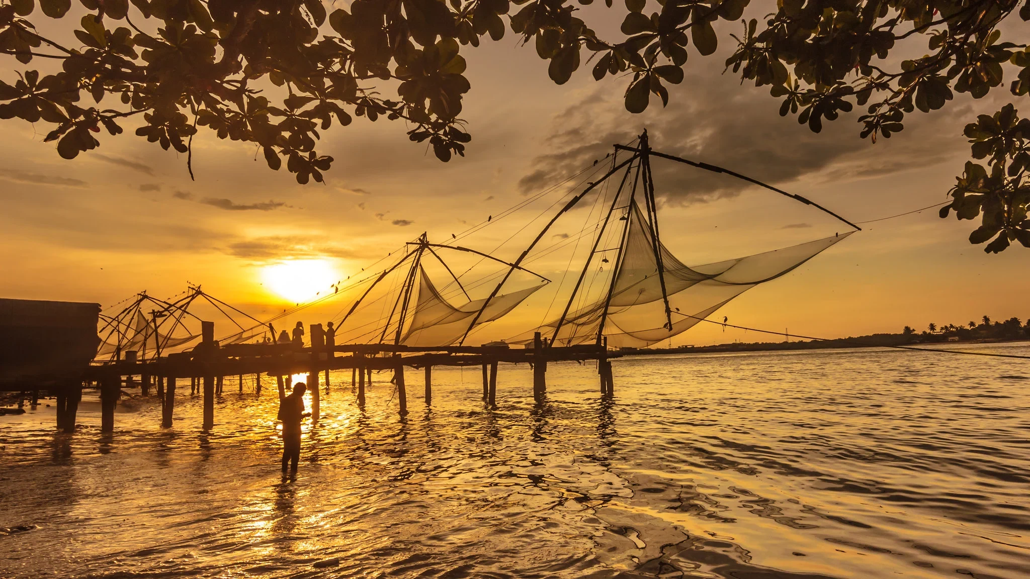 IN - Chinese Fishing Nets, Koch.webp