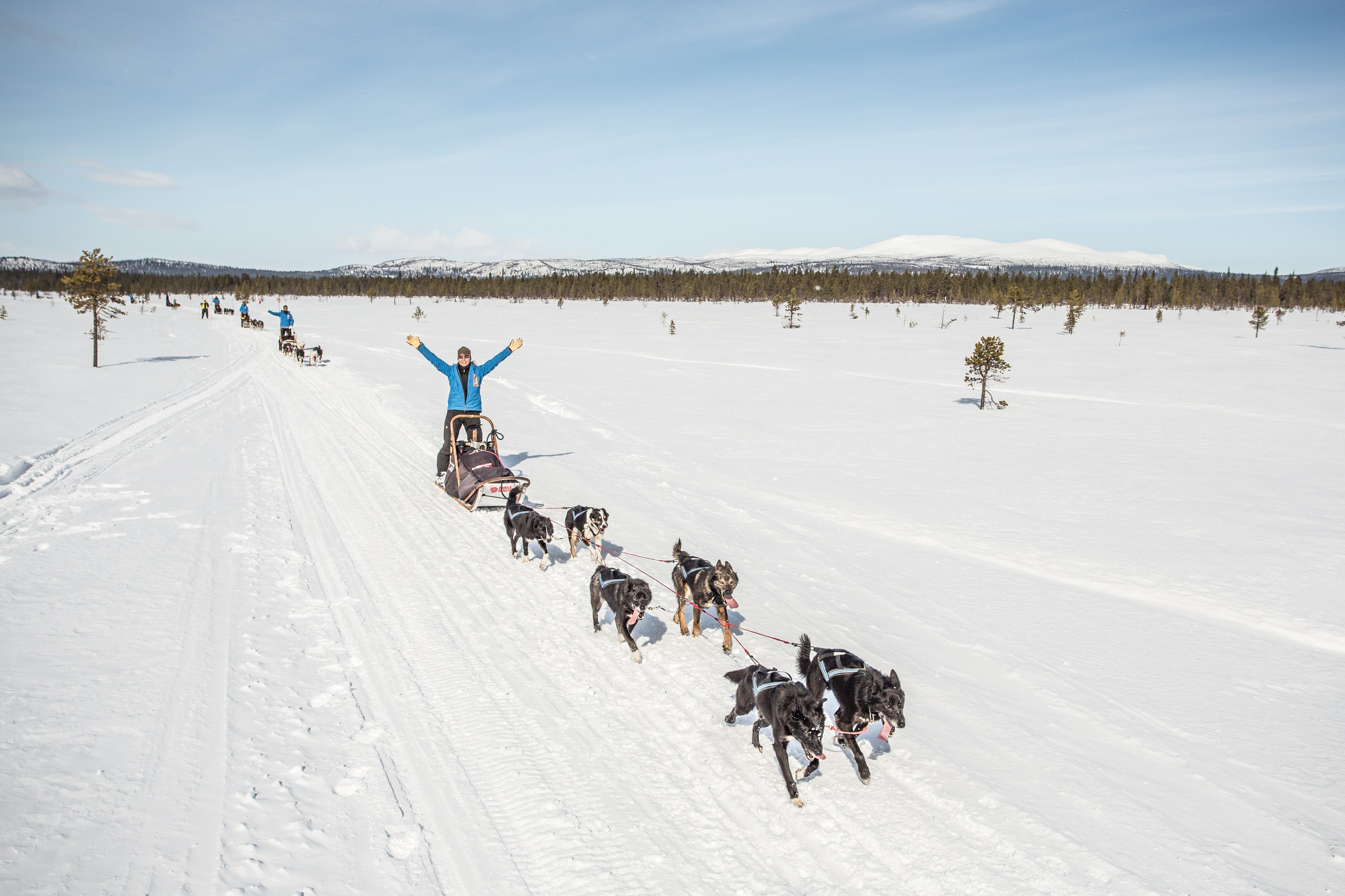 SE - Fjellborg - Husky ride (3).jpg