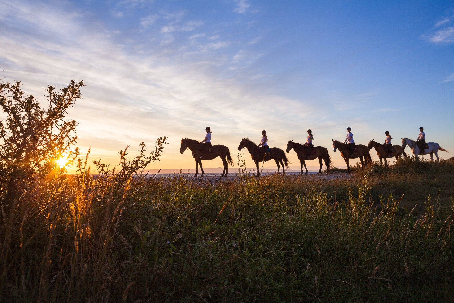 HR-Rovinj-Horse-back-riding-Istria 6.jpg