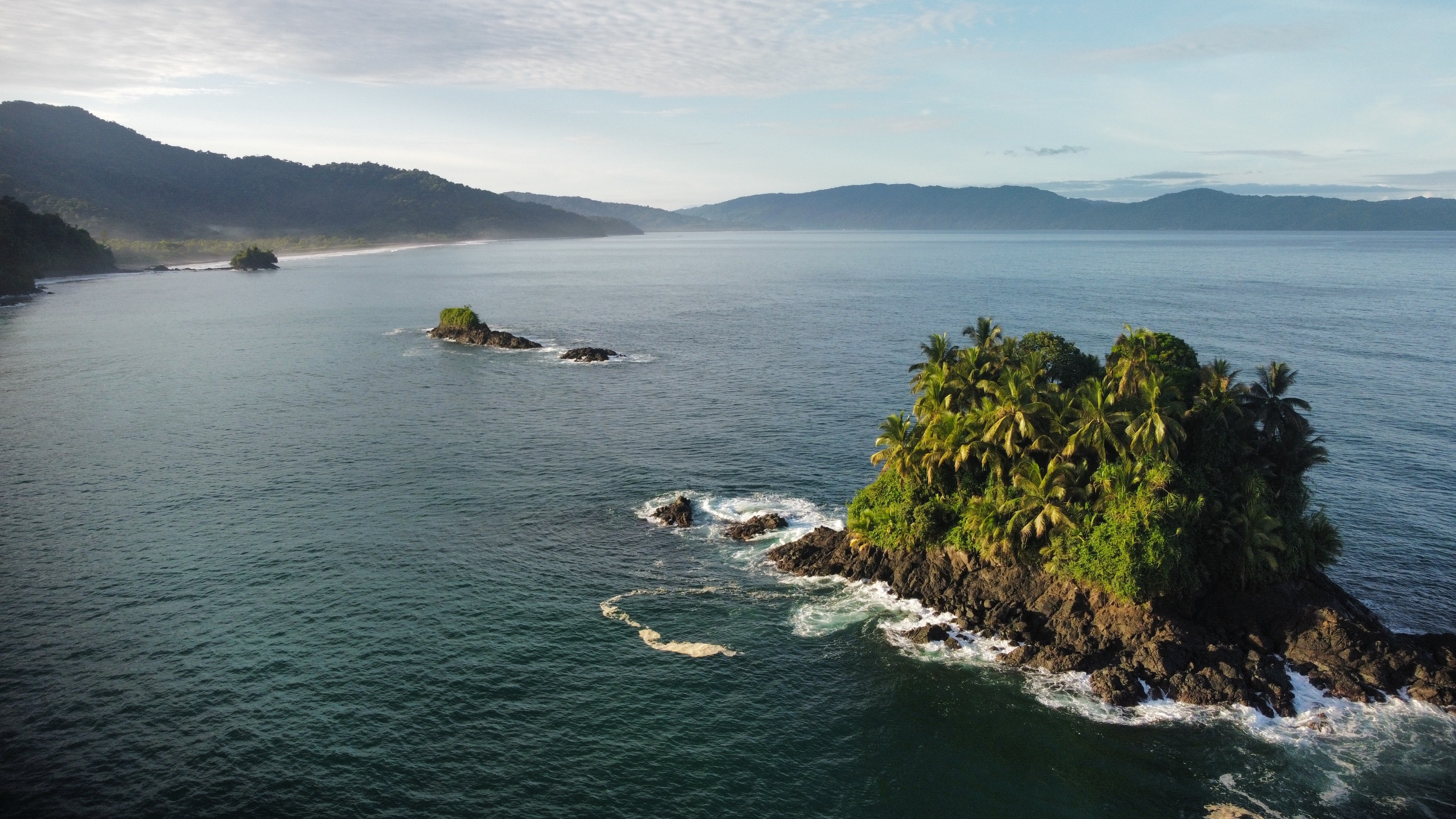 CO-excursie-Humpback-Whale-Watching (1).jpg