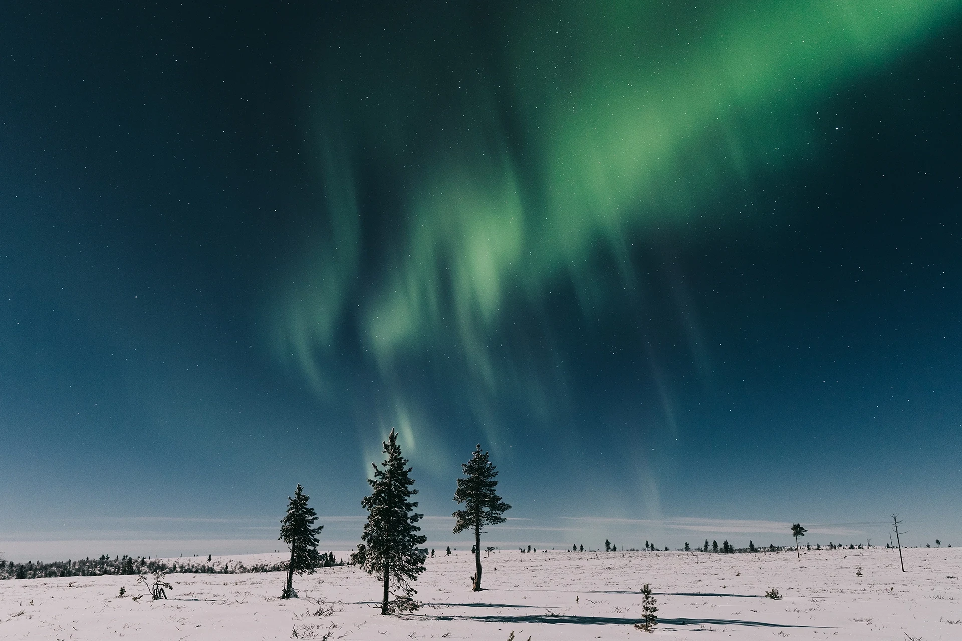 FI-Accommodatie-Skabma-Auroras.webp