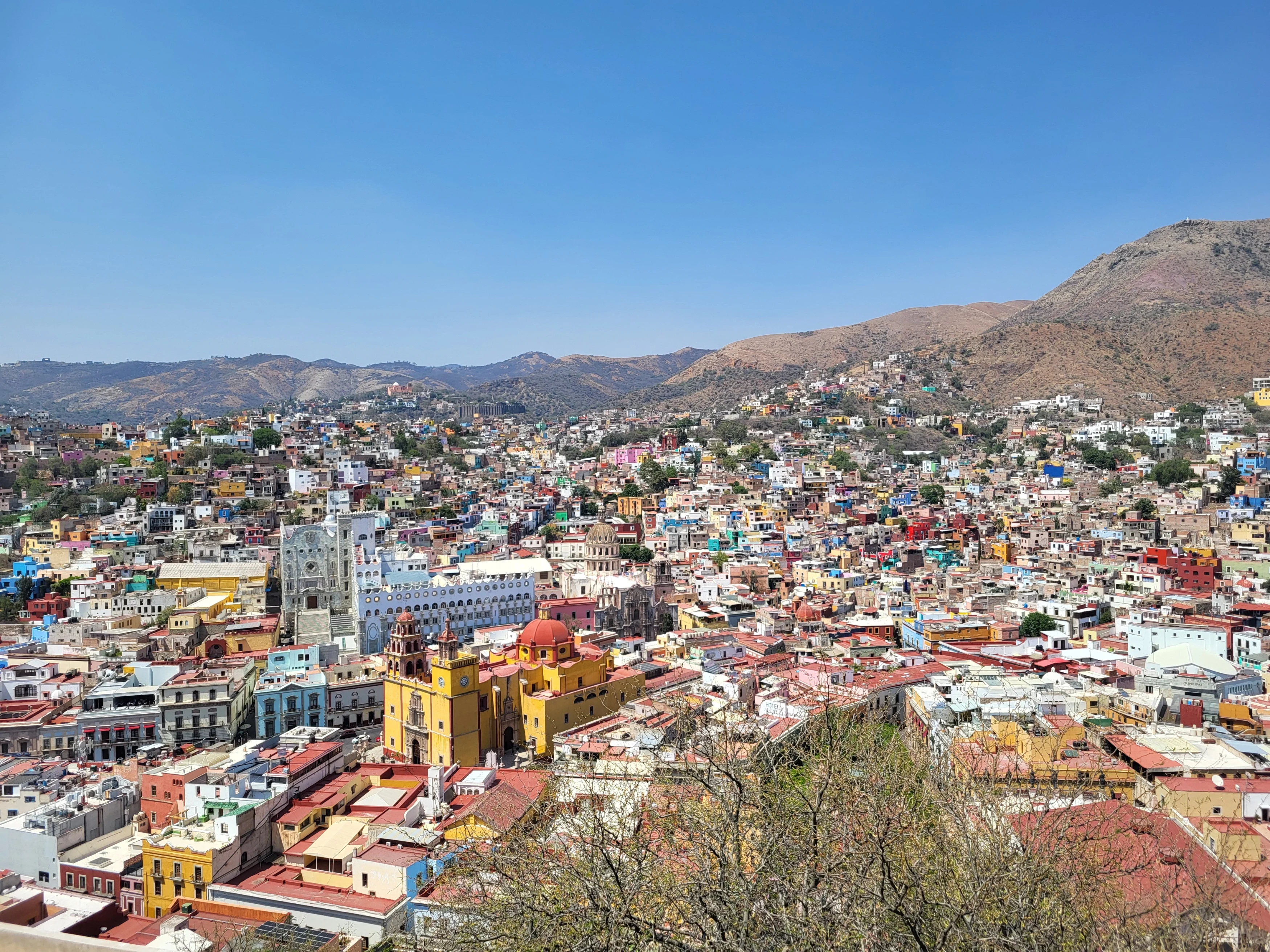 MX-Studiereis_2024-Juanejuato_(1)[1].webp
