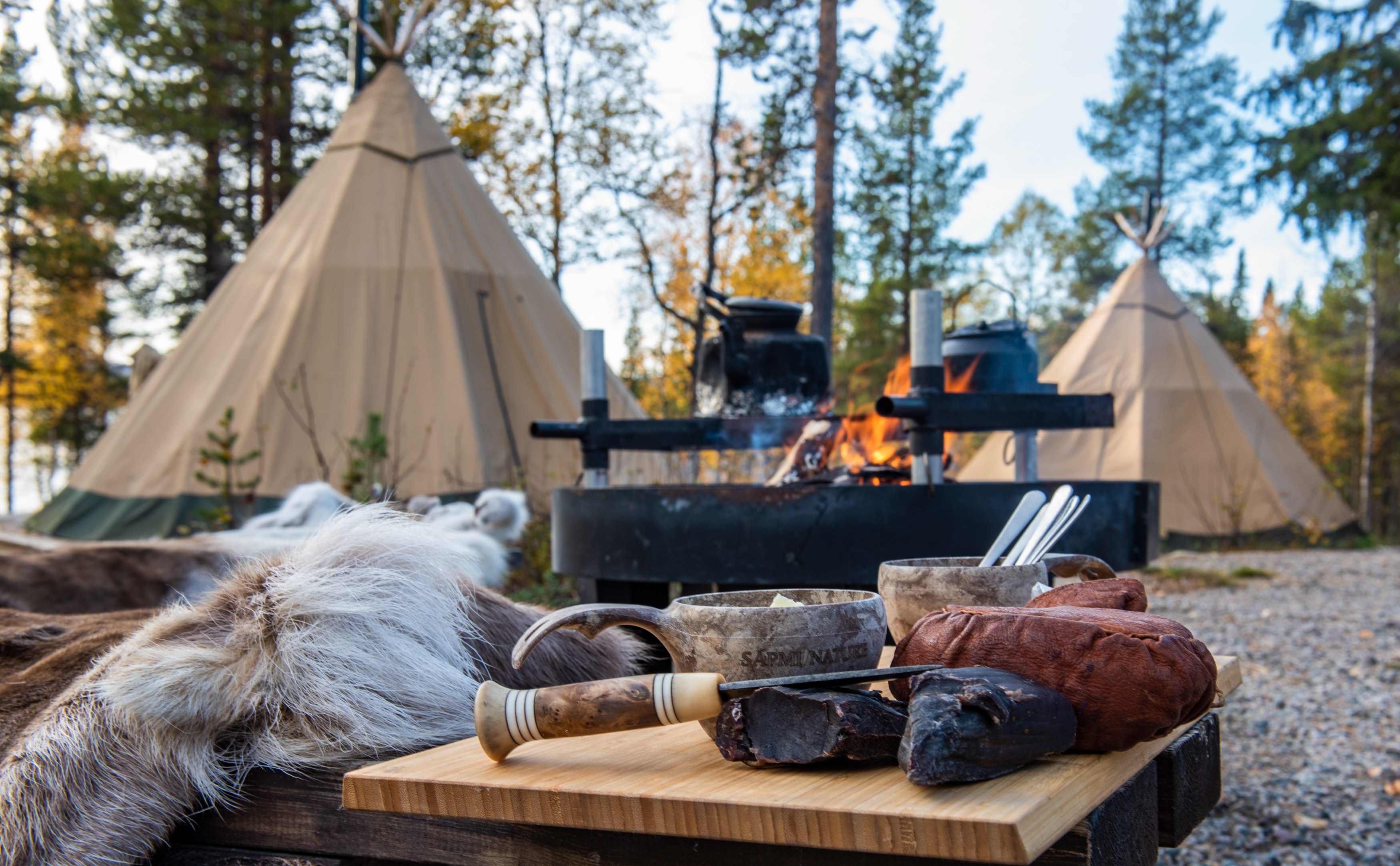 SE - Sapmi Nature Camp - Dinner.jpg