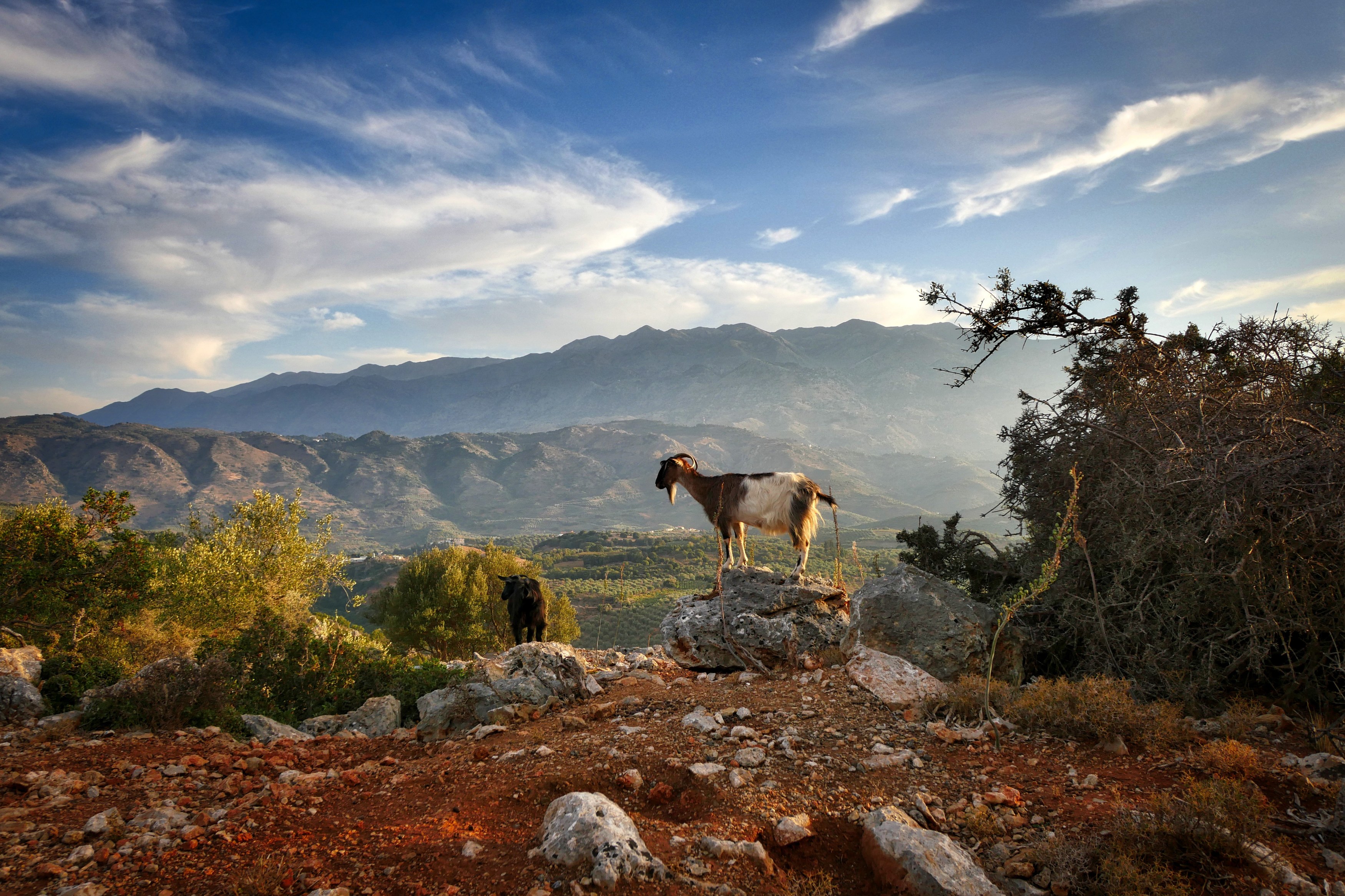 GR-Kreta crete-2919290.jpg