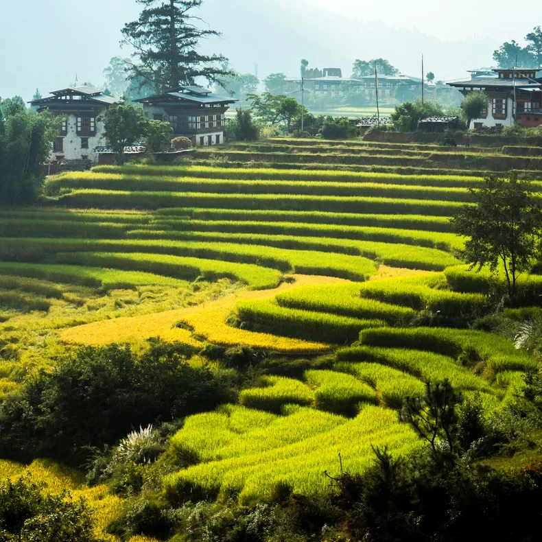 BT-Six Senses Punakha.webp