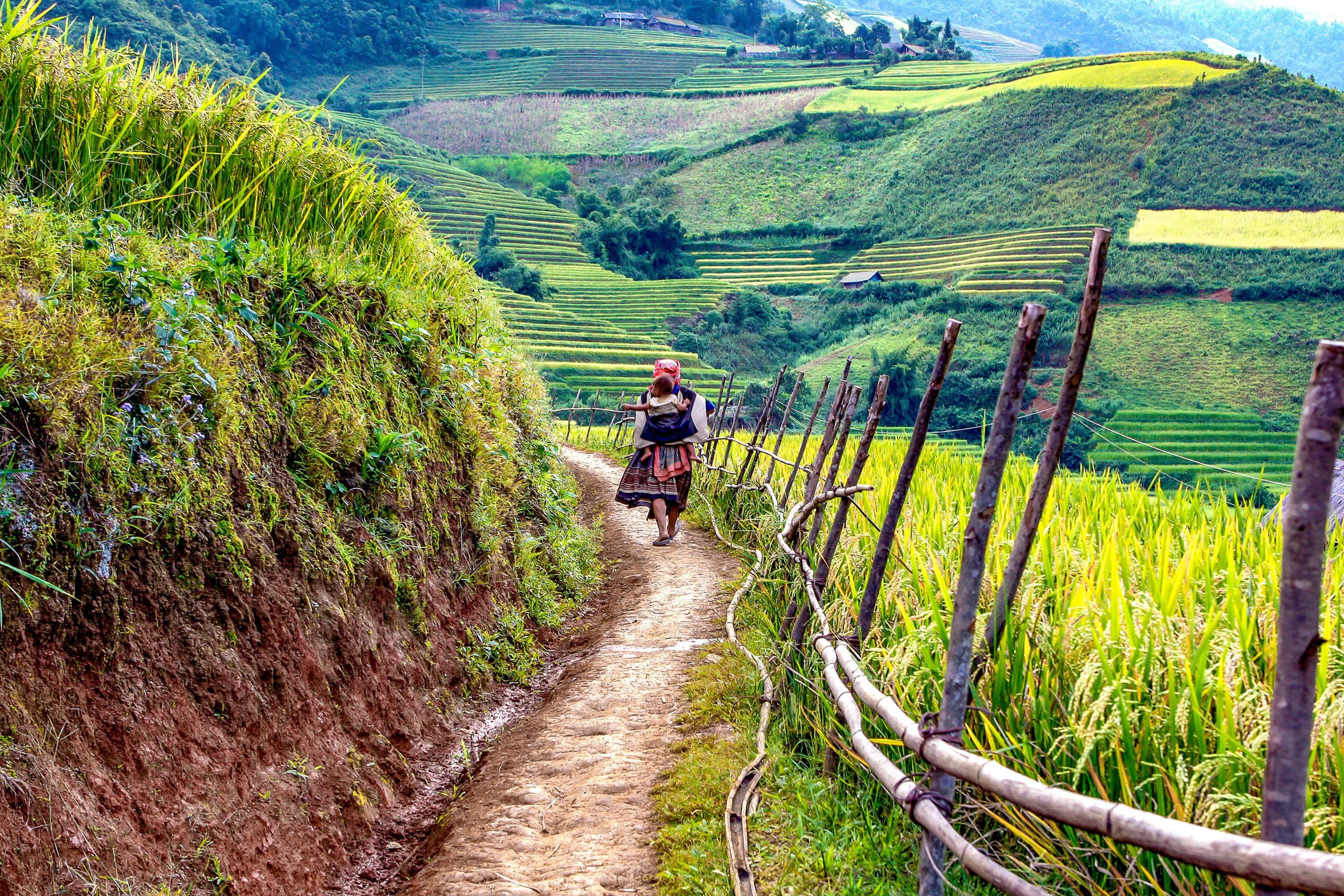 Vietnam Sapa - surroundings.jpg